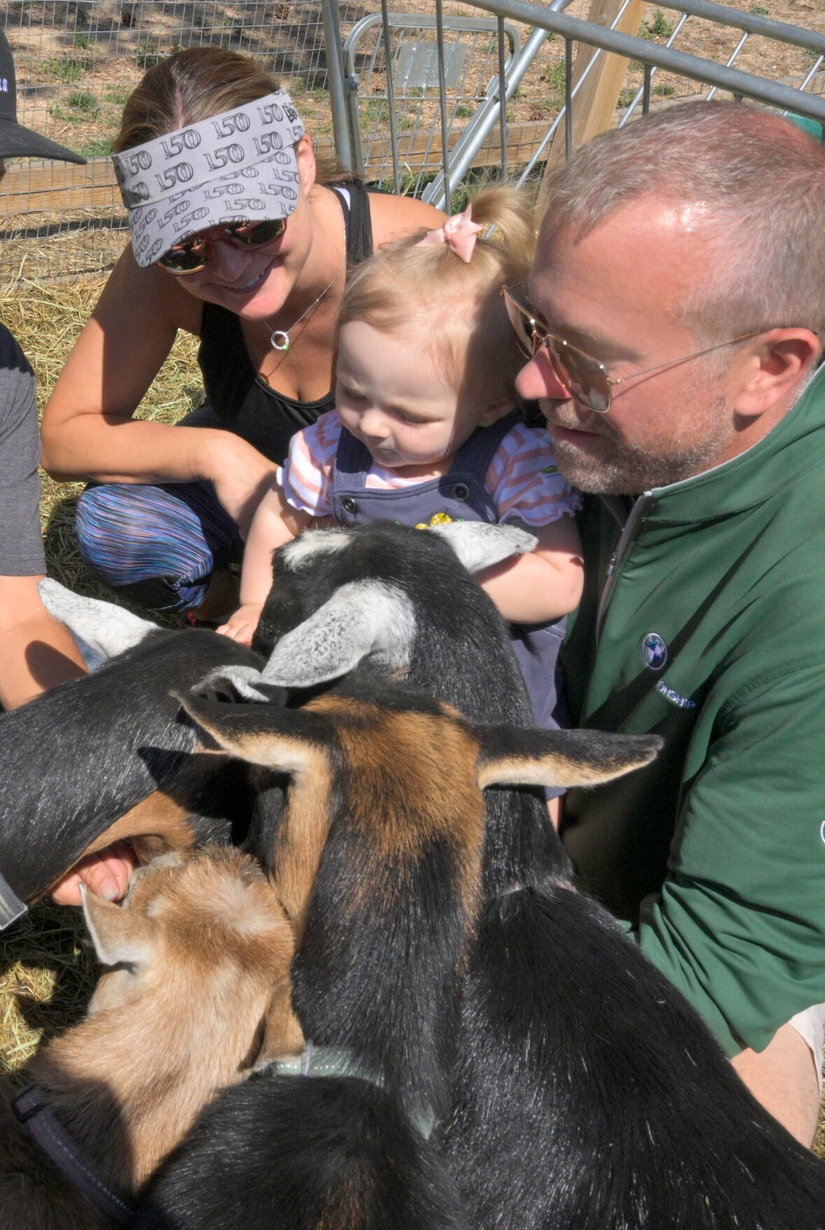 Colorado farm offers free visits to those on healing journey