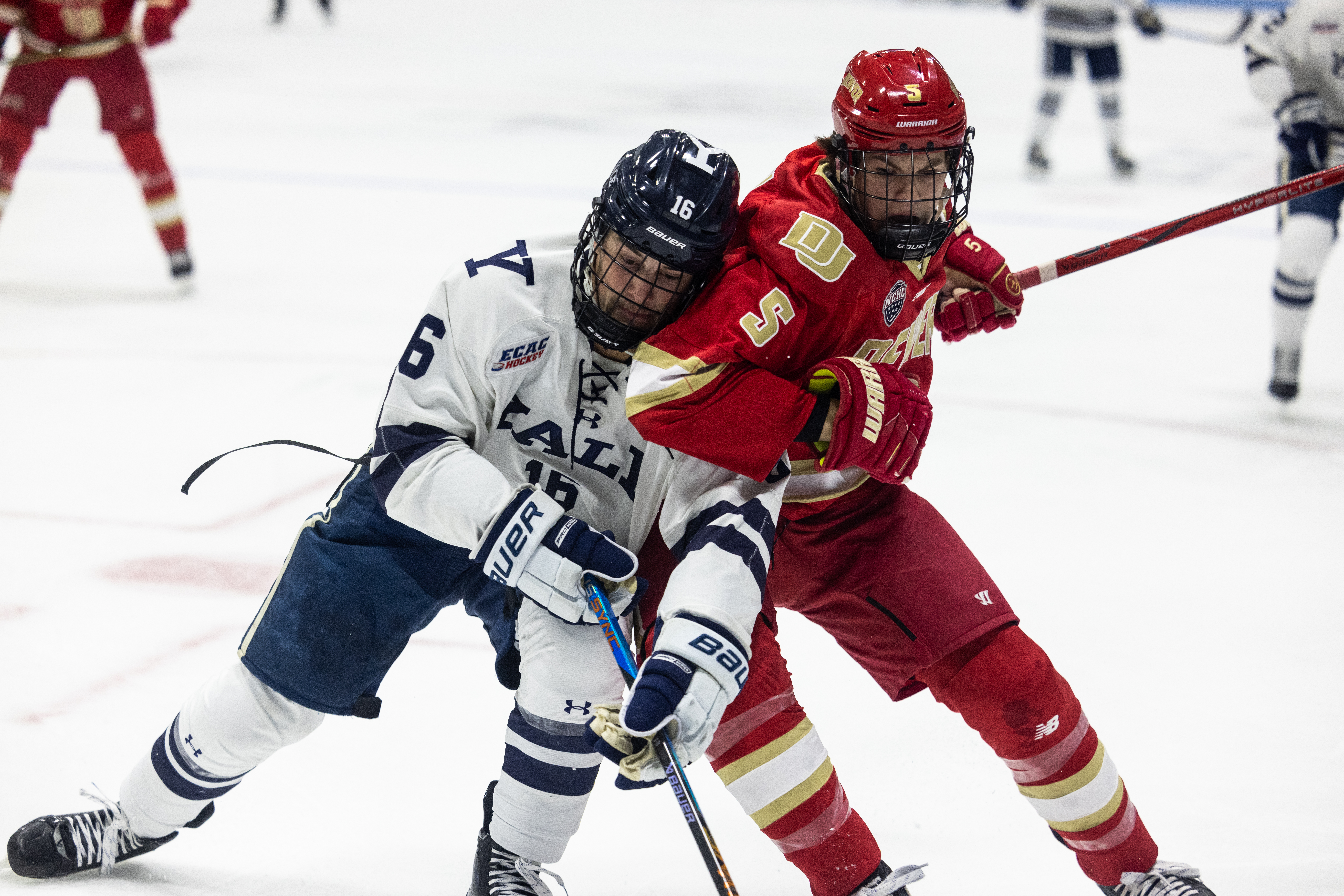 No. 1 Denver Pioneers sweep Yale and join elite company with 1,600th program win