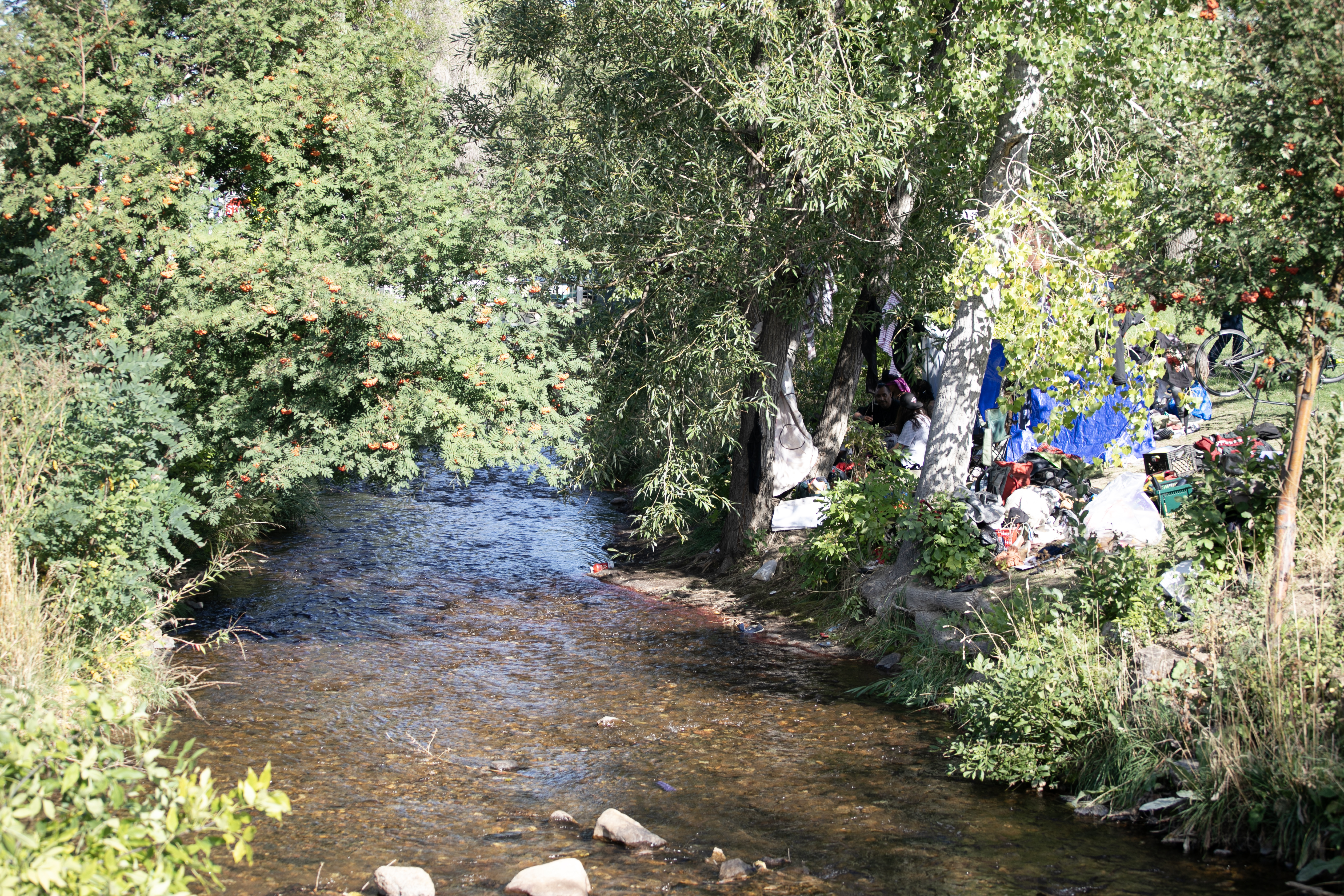 Camping items line Boulder Creek in downtown Boulder, Colo. on Friday, Oct. 27, 2024. (TomHellauerMultimedia Producertom.hellauer@denvergazette.comhttps://denvergazette.com/content/tncms/avatars/f/9e/622/f9e6228a-3b6b-11ed-bf10-fbb71fa8e421.f54b911252c540f1d61709edc4727a39.png)