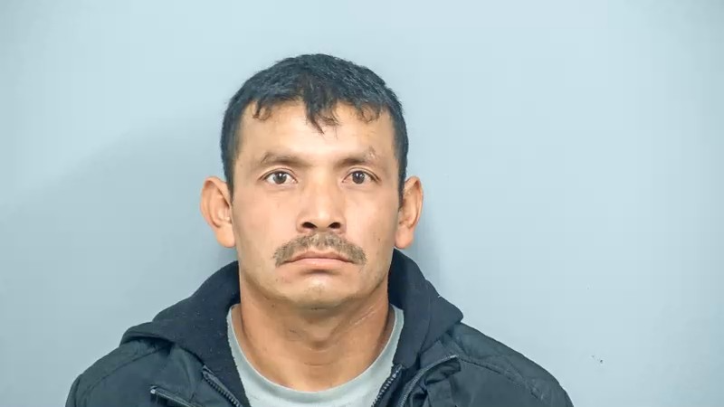 Man arrested after Brighton pedestrian hit-and-run