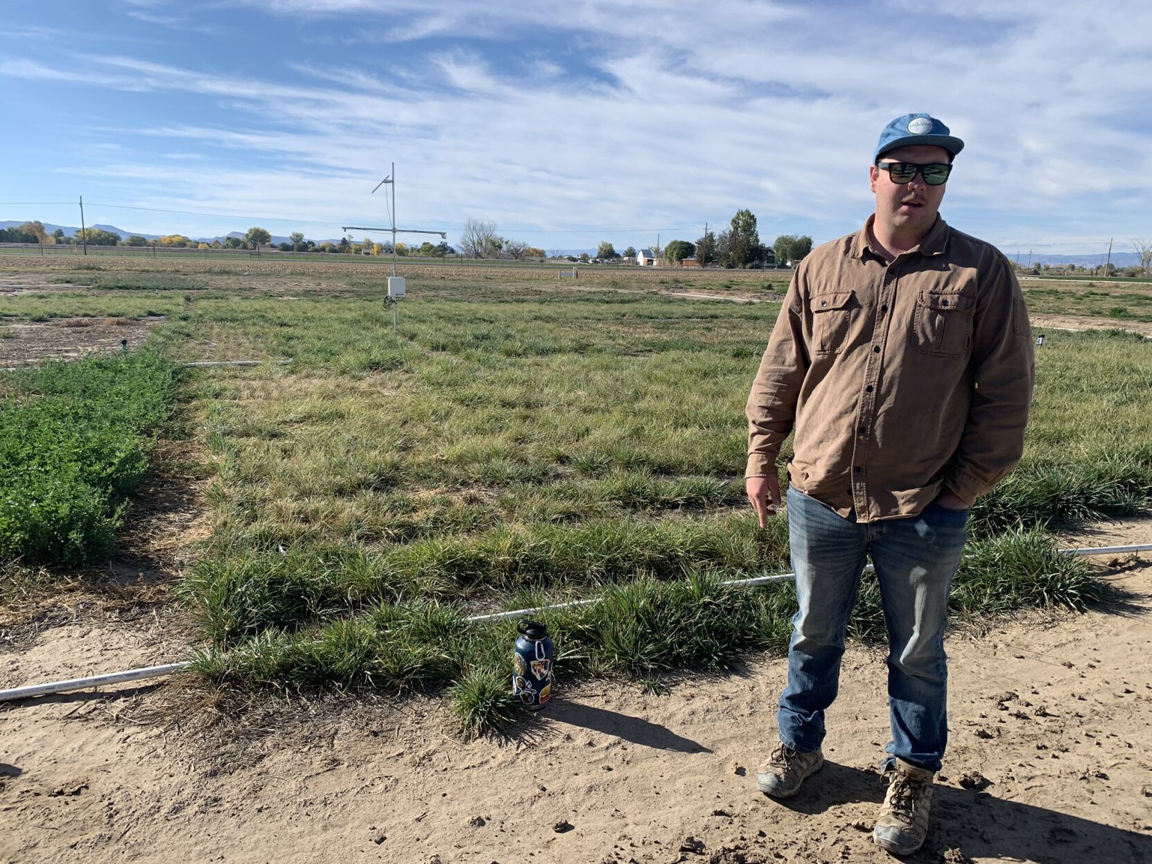 Researcher Bill Szasz shows off some of the alternative forage crops being tested at the CSU Western Colorado Research Center. (MarianneGoodlandmarianne.goodland@coloradopolitics.comhttps://secure.gravatar.com/avatar/125a14b7bd9266f61a445ec13b1d3605?d=mm&r=g)