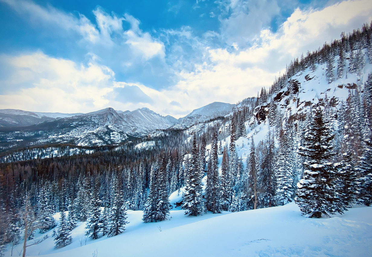 Photo Credit: Phoenix Moon Photography (iStock). (Phoenix Moon Photography)