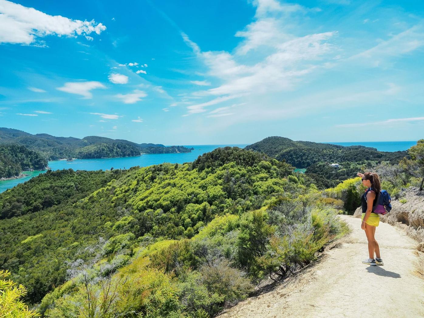 Scenic walk in New Zealand with Country Walkers