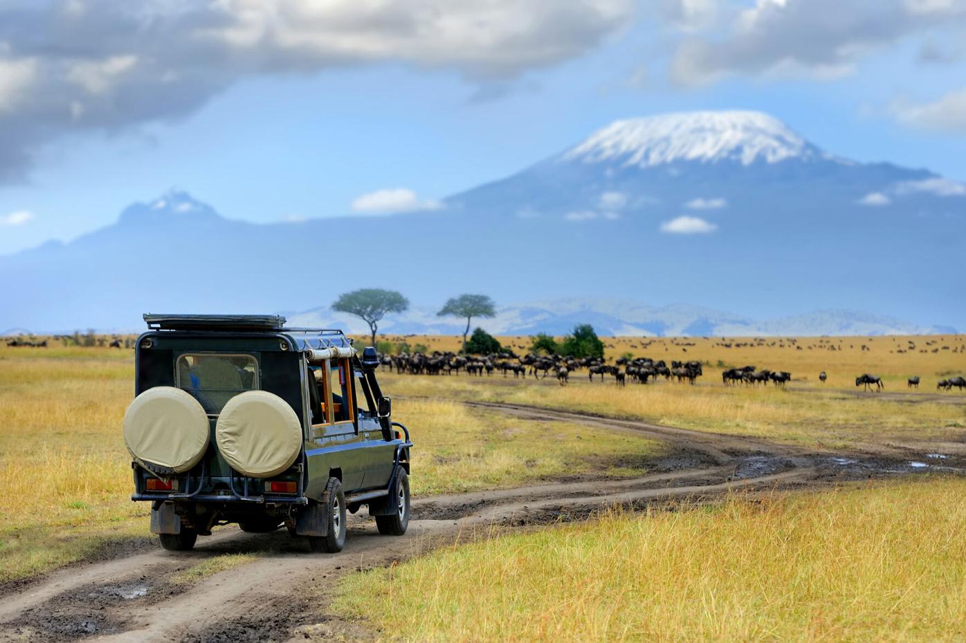 Scenic Game Drive in Africa