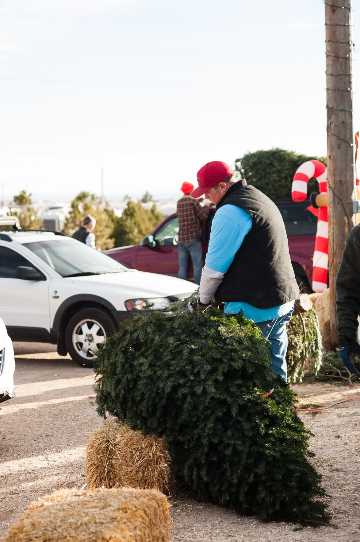 Heidrich’s Tree Farm Nursery is one of the region’s popular Christmas tree vendors. (Courtesy photo)