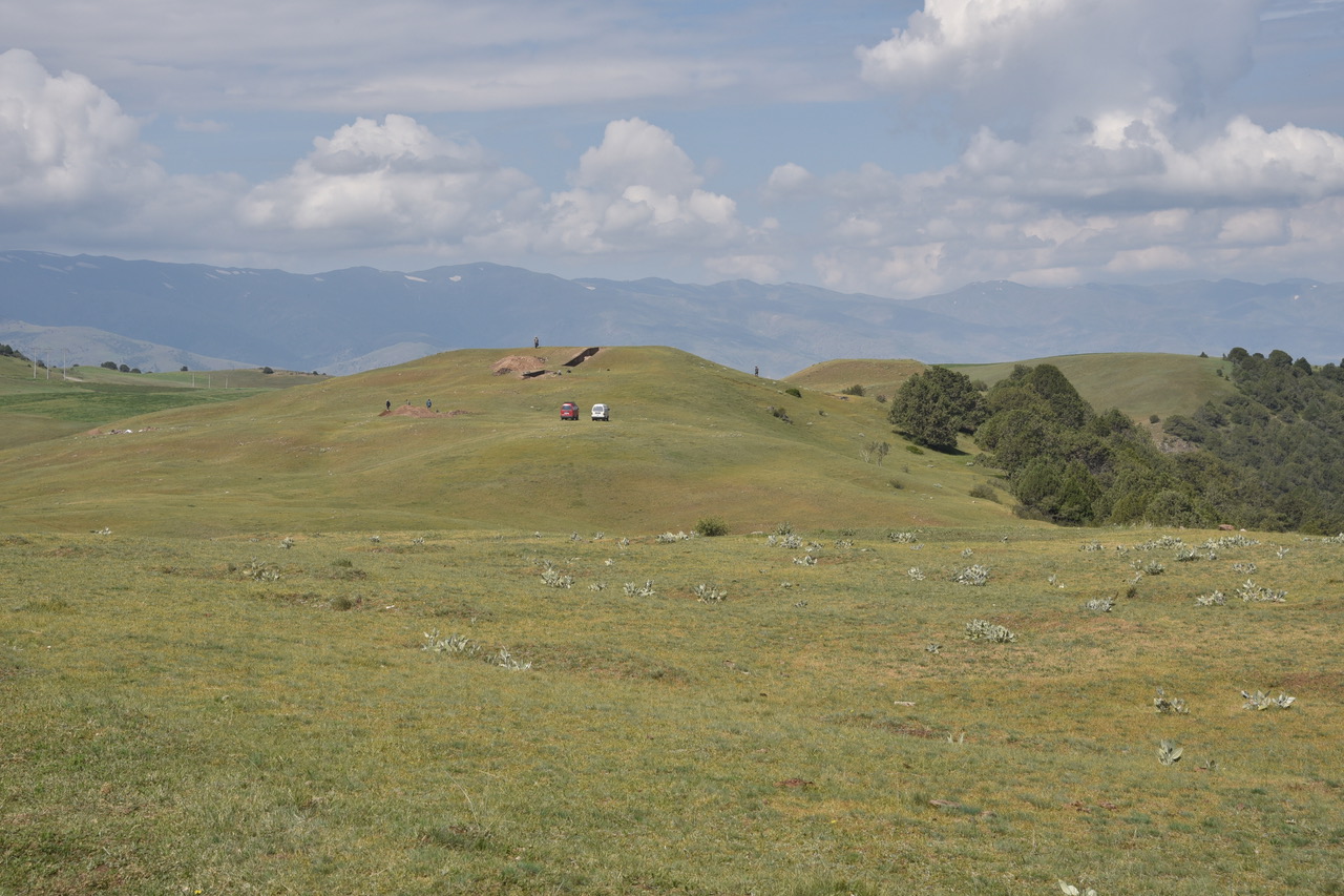 The research site at Tugunbulak along the Silk Road's ancient trade routes. (Courtesy of M. Frachetti)