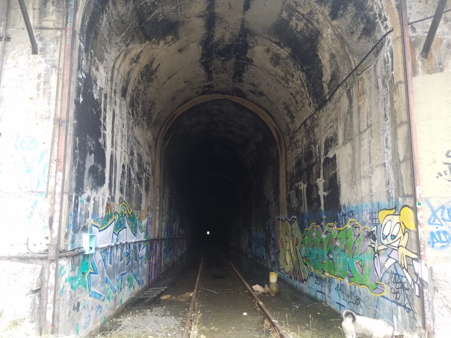This tunnel on the Tennessee Pass line hasn't been frequented by trains since the 1990s, but it hasn't been abandoned by graffiti artists. (David O. Williams)