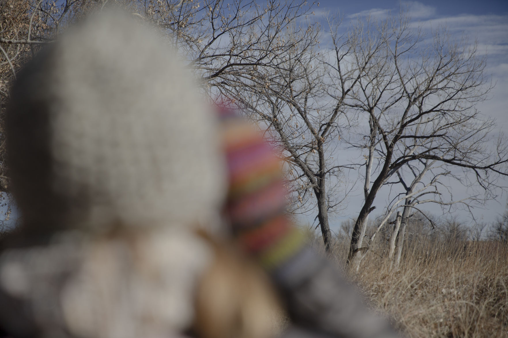 Julie Frost, co-owner of Songbird Orchids, will help people learn about birds found in Colorado Springs, the best feeders, where to hang them and more during a beginning bird-watching workshop Feb. 1 at the shop. (KatieKlannkatie.klann@gazette.comhttps://secure.gravatar.com/avatar/15e8af752374ad1abb67090ceaed3ec3?d=mm&r=g)