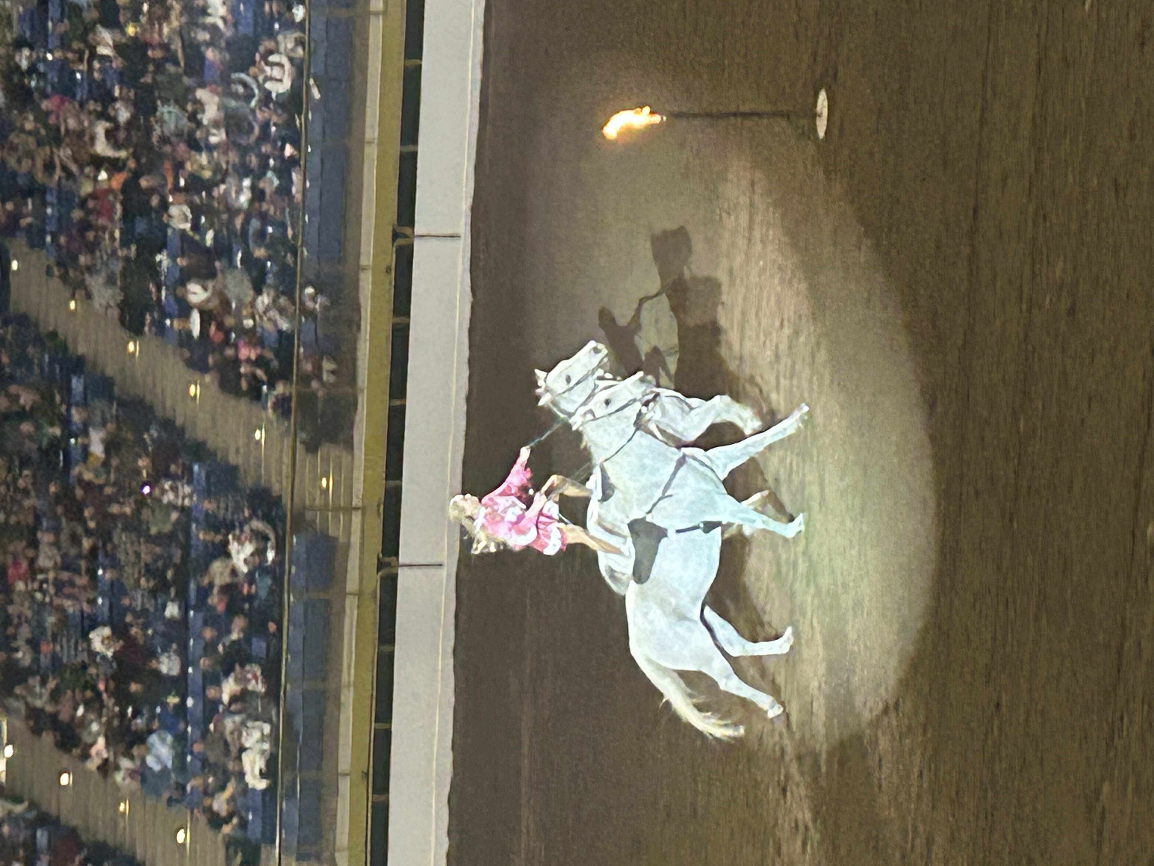 A trick rider balances on two horses while navigating around lit torches at the Wild West Show Sunday at the National Western Stock Show. (DennisHuspeniCity Editordennis.huspeni@gazette.comhttps://denvergazette.com/content/tncms/avatars/c/5a/fbd/c5afbd32-5030-11eb-bdef-030d9de52a9e.779683cee495ffe64766291c251a8894.png)