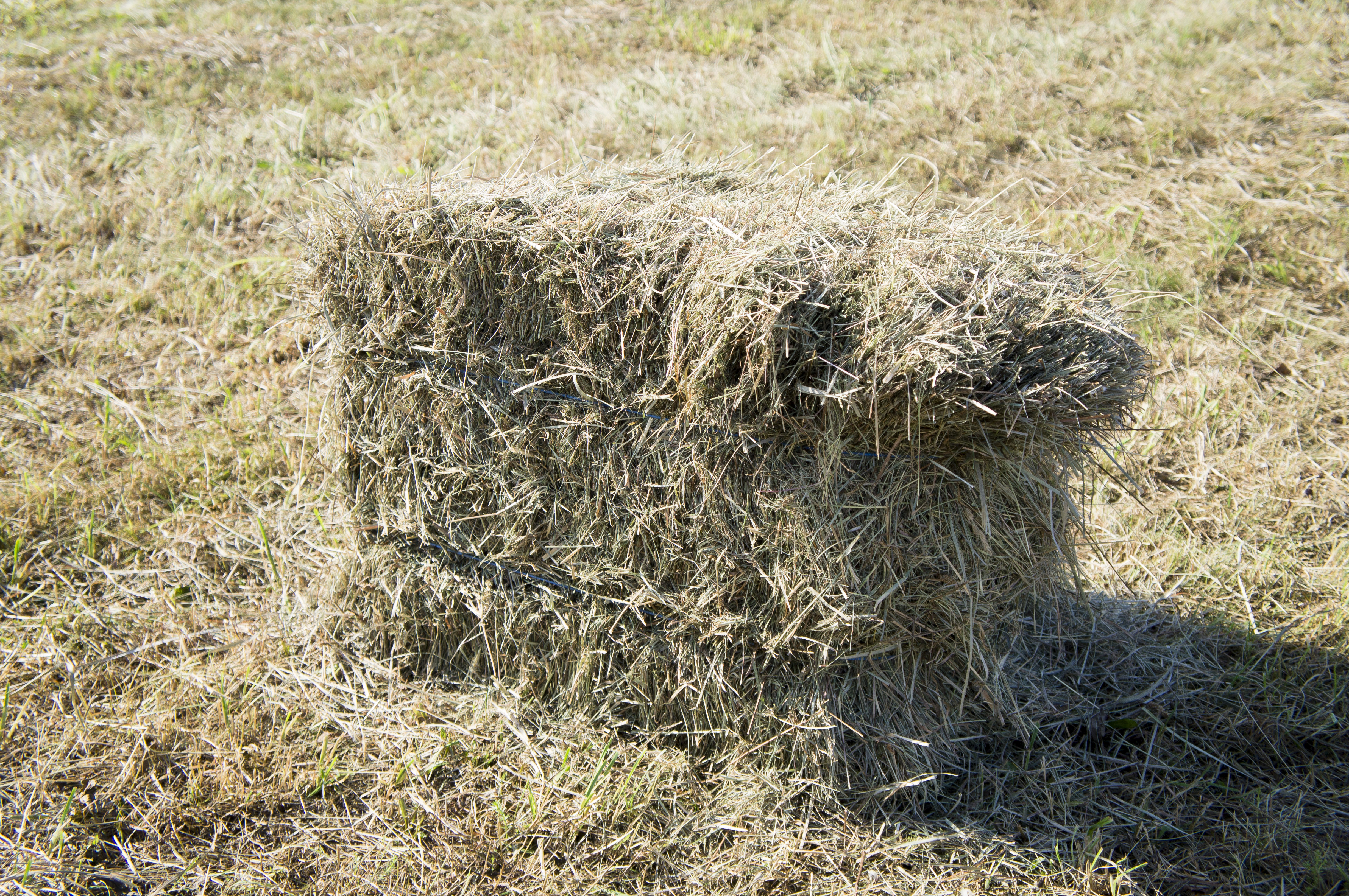 hay pack bale, second hay crop, cut dried grass, September 11, 2016. Photo/Klara Foitlova (CTK via AP Images) (Foitlova Klara)