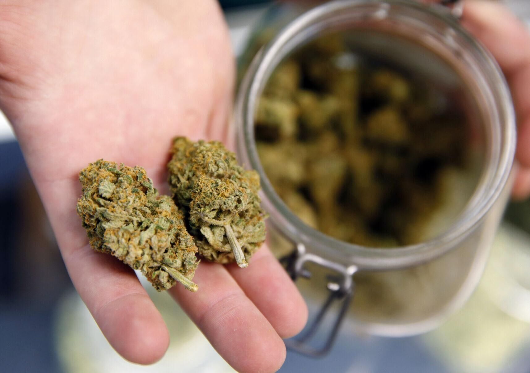A bud tender holds two marijuana buds on his fingers for a customer at a Denver recreational marijuana outlet. (Gazette file)