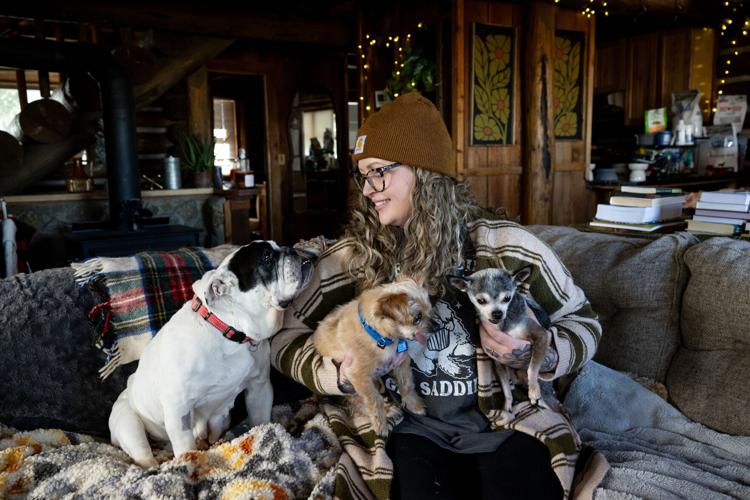 Colorado Senior Dog Rescue and Hospice