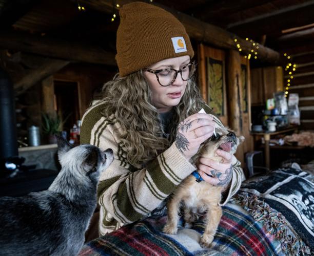 Colorado Senior Dog Rescue and Hospice