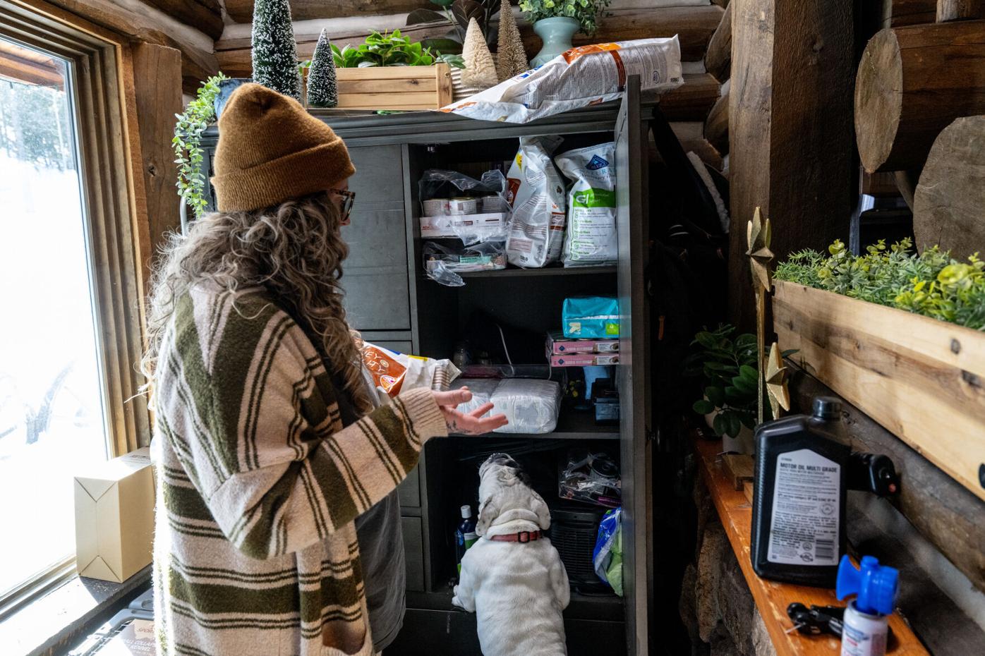 Colorado Senior Dog Rescue and Hospice