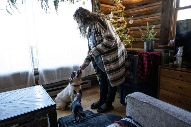Colorado Senior Dog Rescue and Hospice