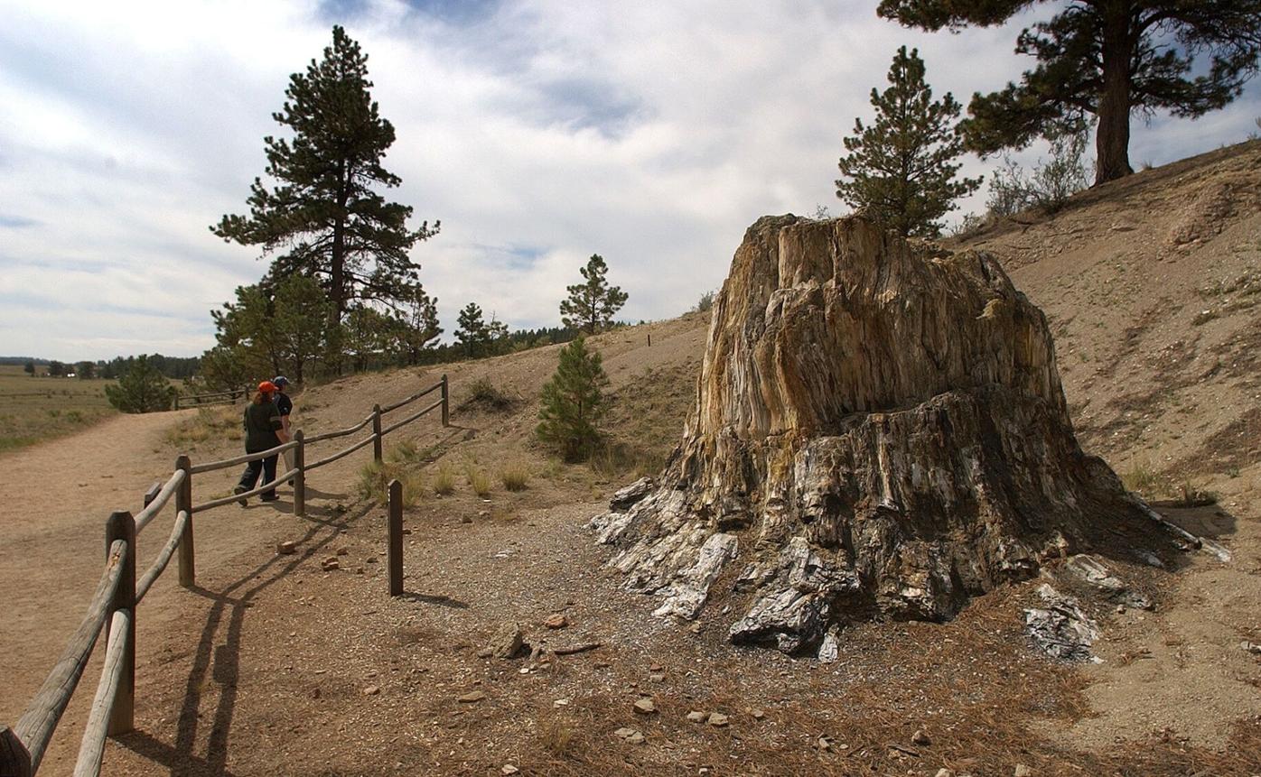 FOSSIL BEDS