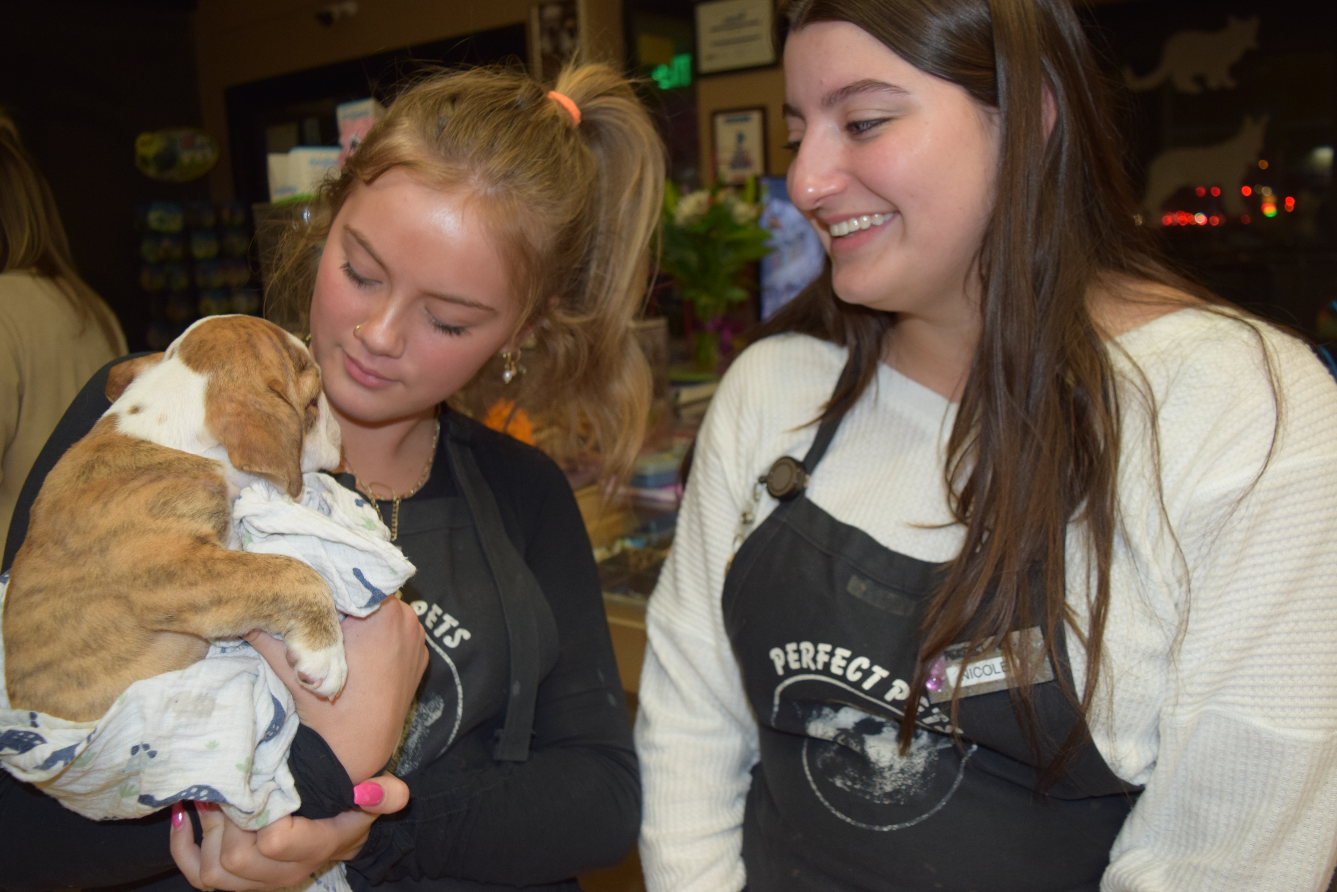 Workers from Perfect Pets in Centennial had a happy reunion with one of two English Bulldogs stolen from the store Friday. One man was arrested and Arapahoe County Sheriffs are following up leads on three other alleged crooks. (Courtesy photo, of Arapahoe County Sheriffs)