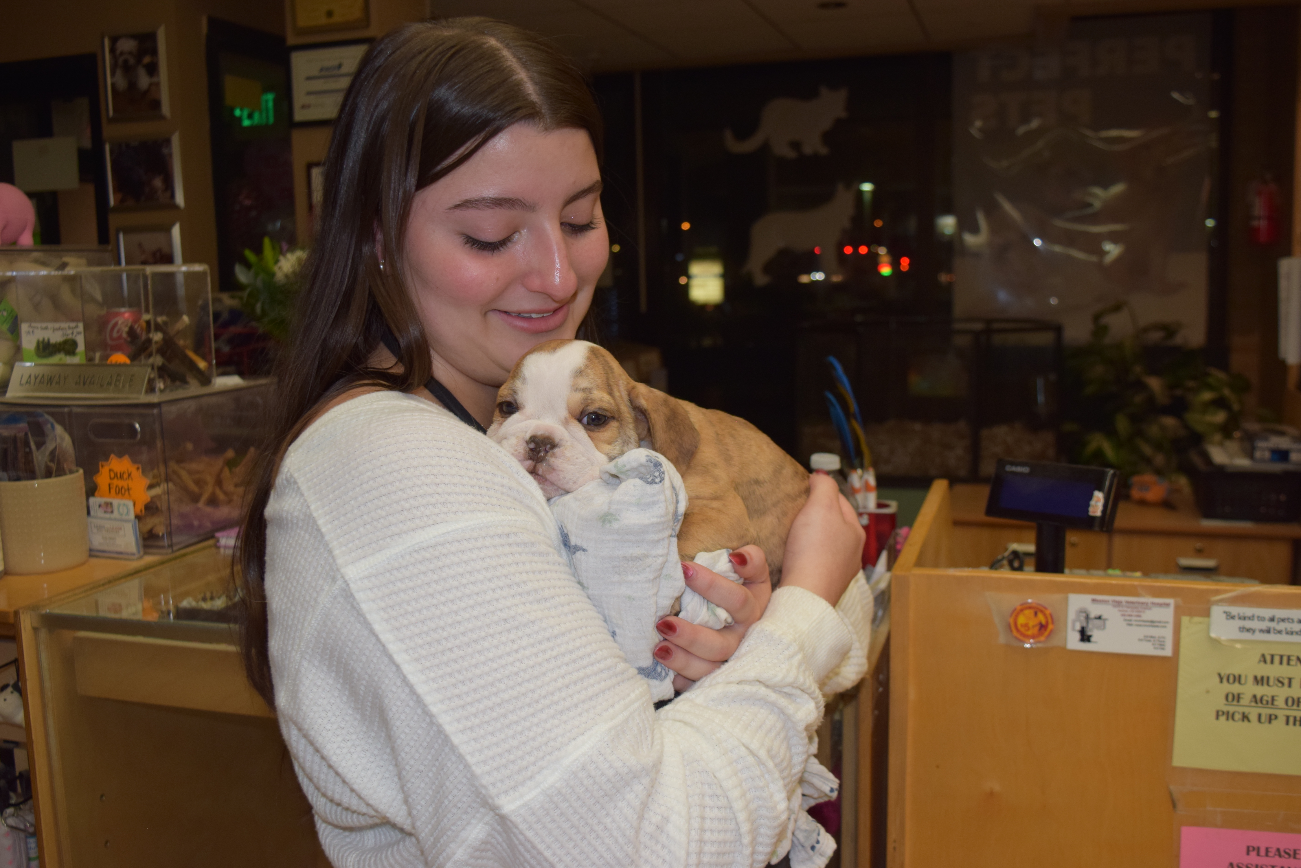 Nicole LaRosa from Perfect Pets in Centennial had a happy reunion with one of two English Bulldogs stolen from the store Friday. One man was arrested and Arapahoe County Sheriffs are following up leads on three other alleged crooks. (Courtesy photo, Arapahoe County Sheriff)