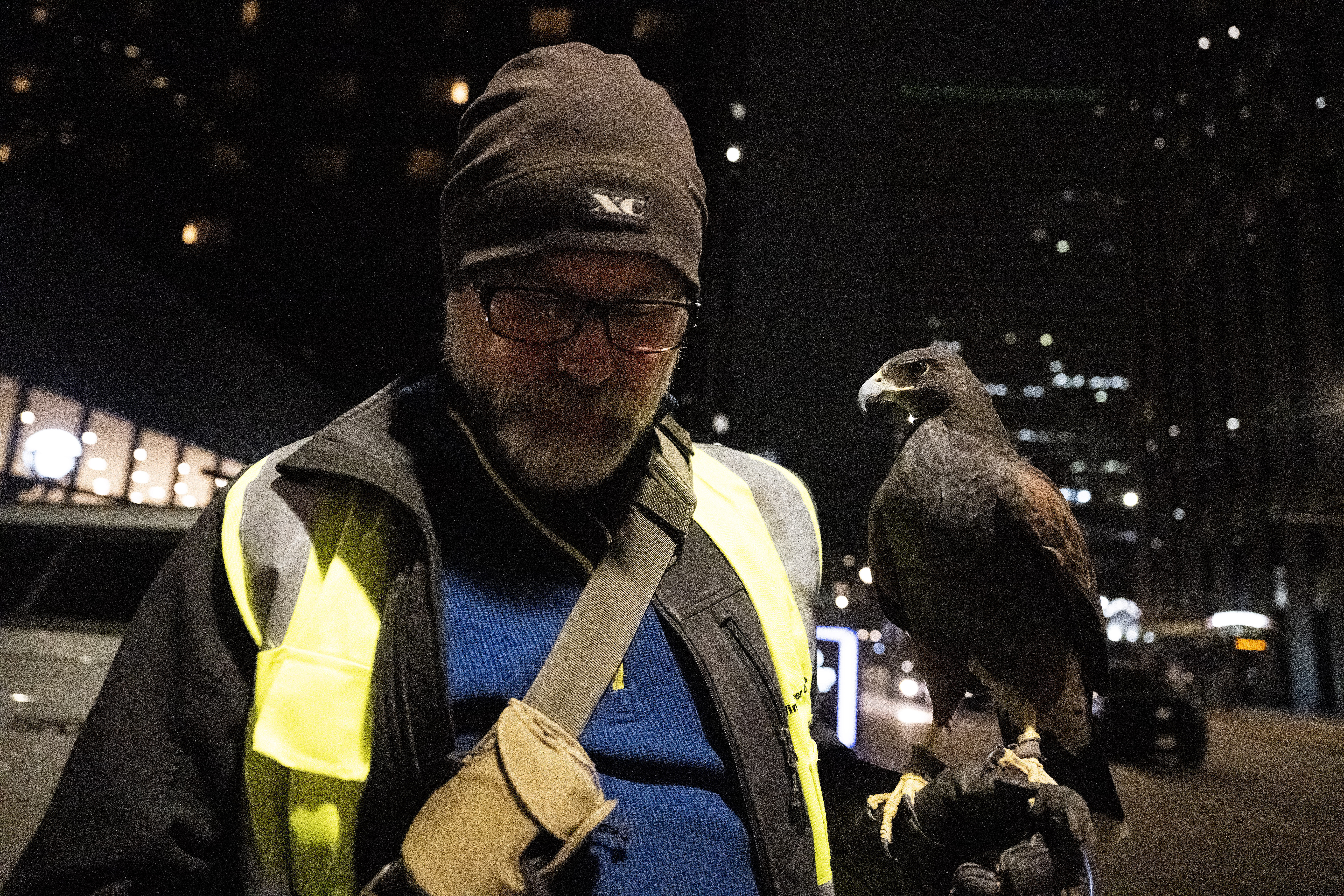 Here’s what Denver is doing to shoo crows away from downtown