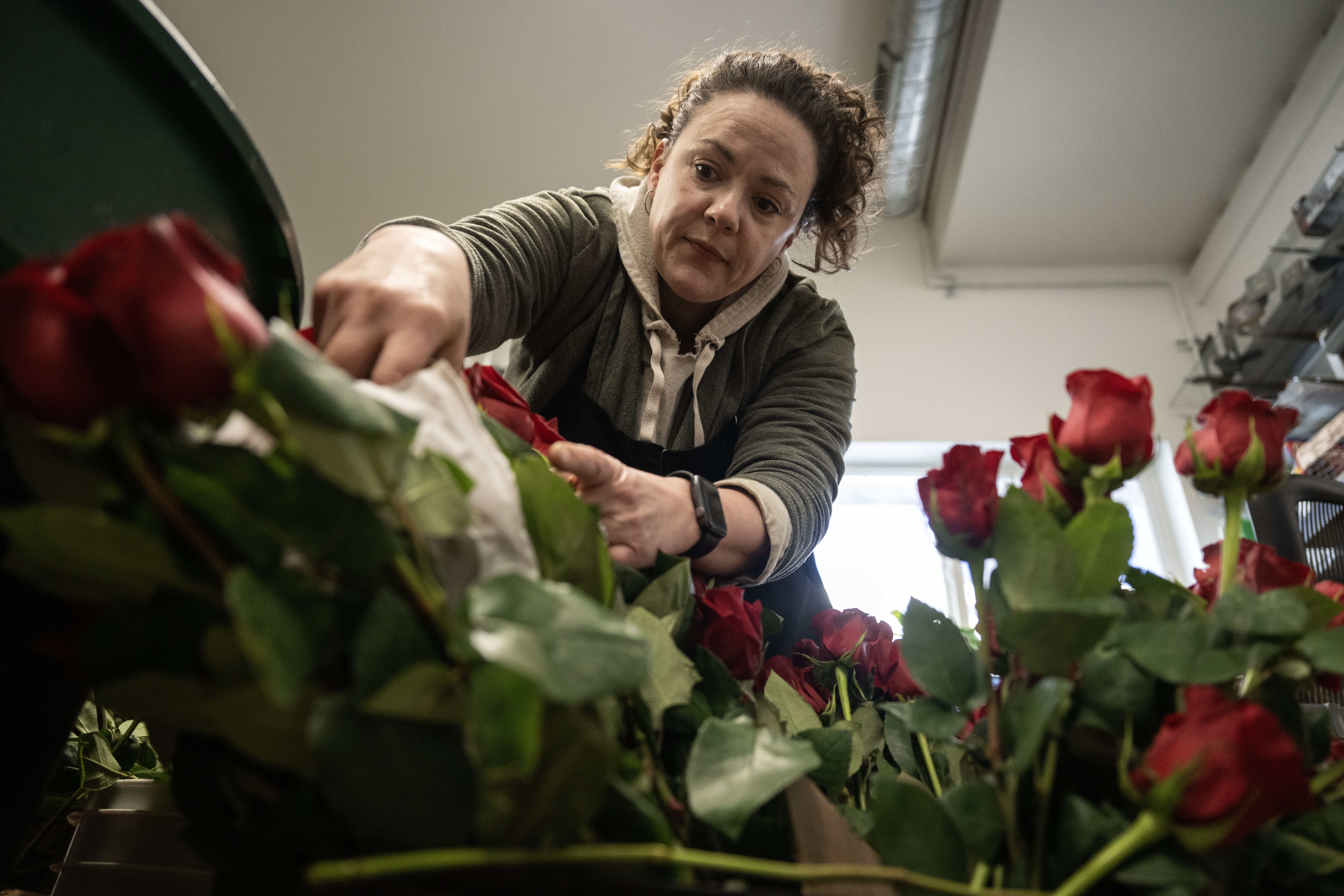 Belle Mendenhall Gathers bouquets of roses at Bonnie Brae flowers in Denver on Thursday, Feb. 13, 2025. (Stephen Swofford, Denver Gazette) (StephenSwoffordPhotographerstephen.swofford@gazette.comhttps://secure.gravatar.com/avatar/1ddcaf11c5d70eaa58546ddc4e038687?d=mm&r=g)