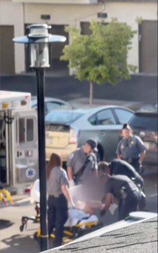 Screenshot 2024-07-30 at 11.40.02 AM.png (copy)