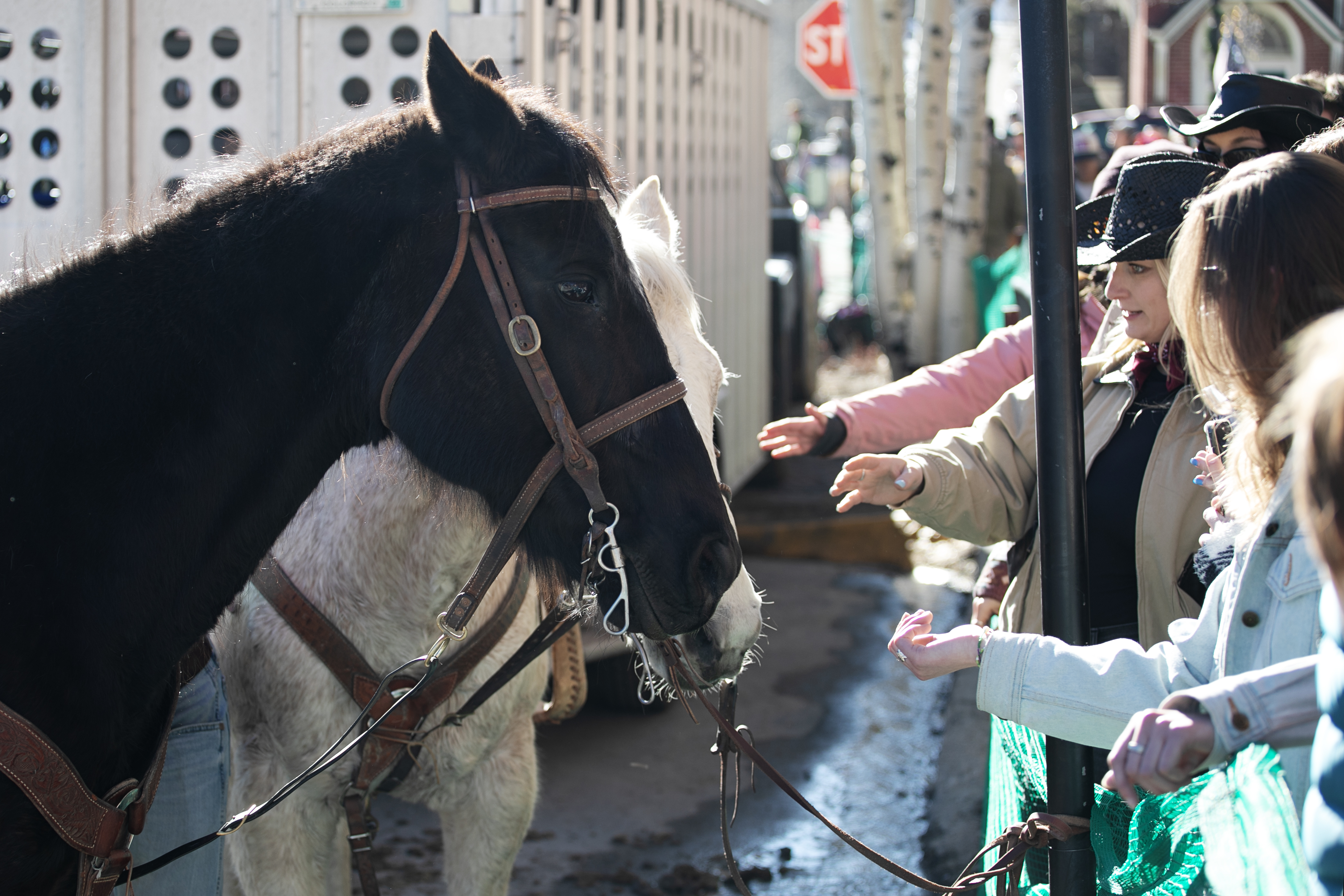 Attendees pet staked horses on the streets of Leadville, Colo. during the annual Skijoring competition on Saturday, March 1, 2025. (TomHellauerMultimedia Producertom.hellauer@denvergazette.comhttps://denvergazette.com/content/tncms/avatars/f/9e/622/f9e6228a-3b6b-11ed-bf10-fbb71fa8e421.f54b911252c540f1d61709edc4727a39.png)