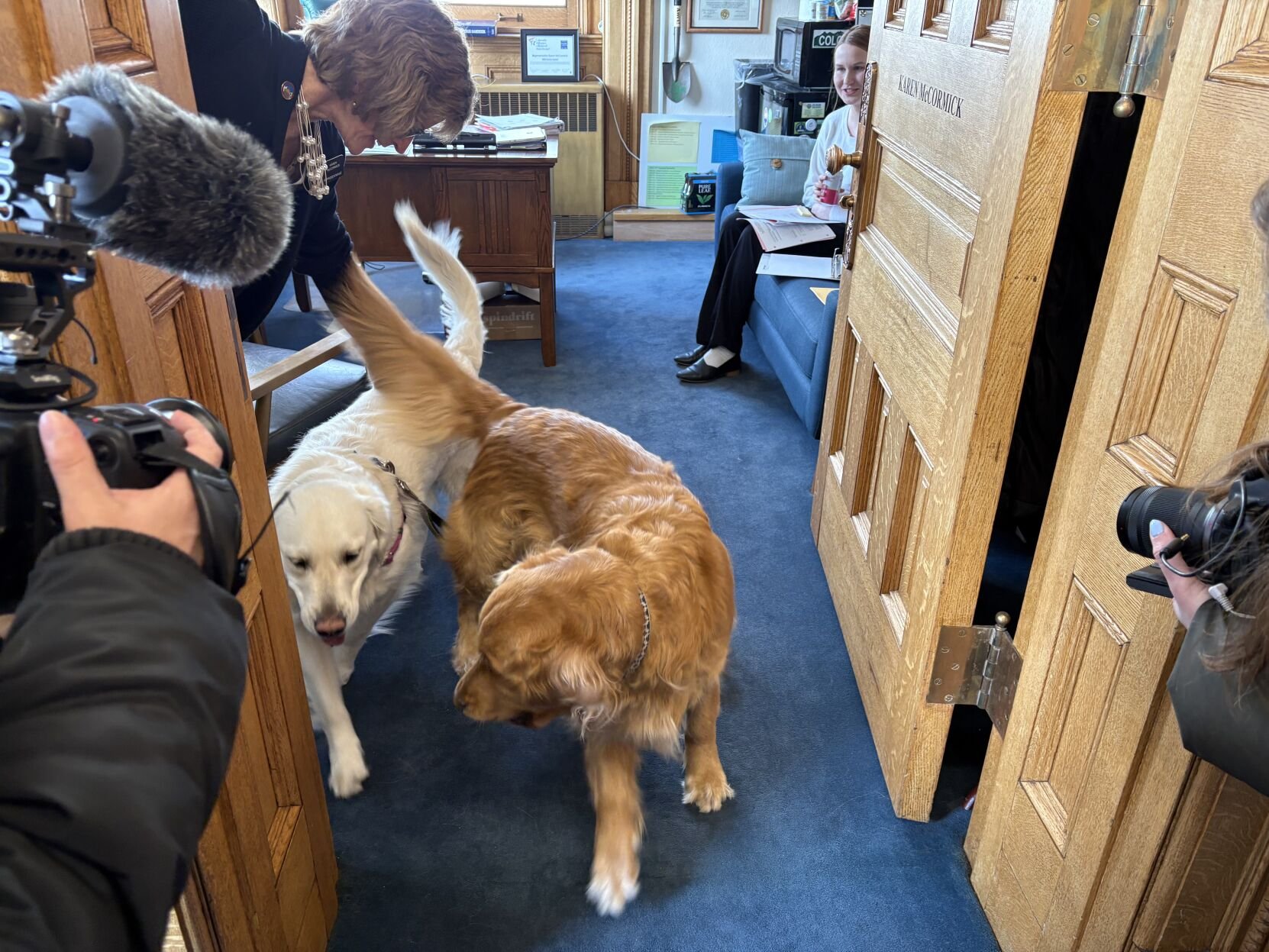Ruthie (the white Golden) and Pippin (at right) meet for a playdate at the office of Rep. Karen McCormick of Longmont. Pippin is McCormick's five-year old Golden; Ruthie is 21 months old and belongs to Jesse Paul of the Colorado Sun. (MarianneGoodlandmarianne.goodland@coloradopolitics.comhttps://secure.gravatar.com/avatar/125a14b7bd9266f61a445ec13b1d3605?d=mm&r=g)