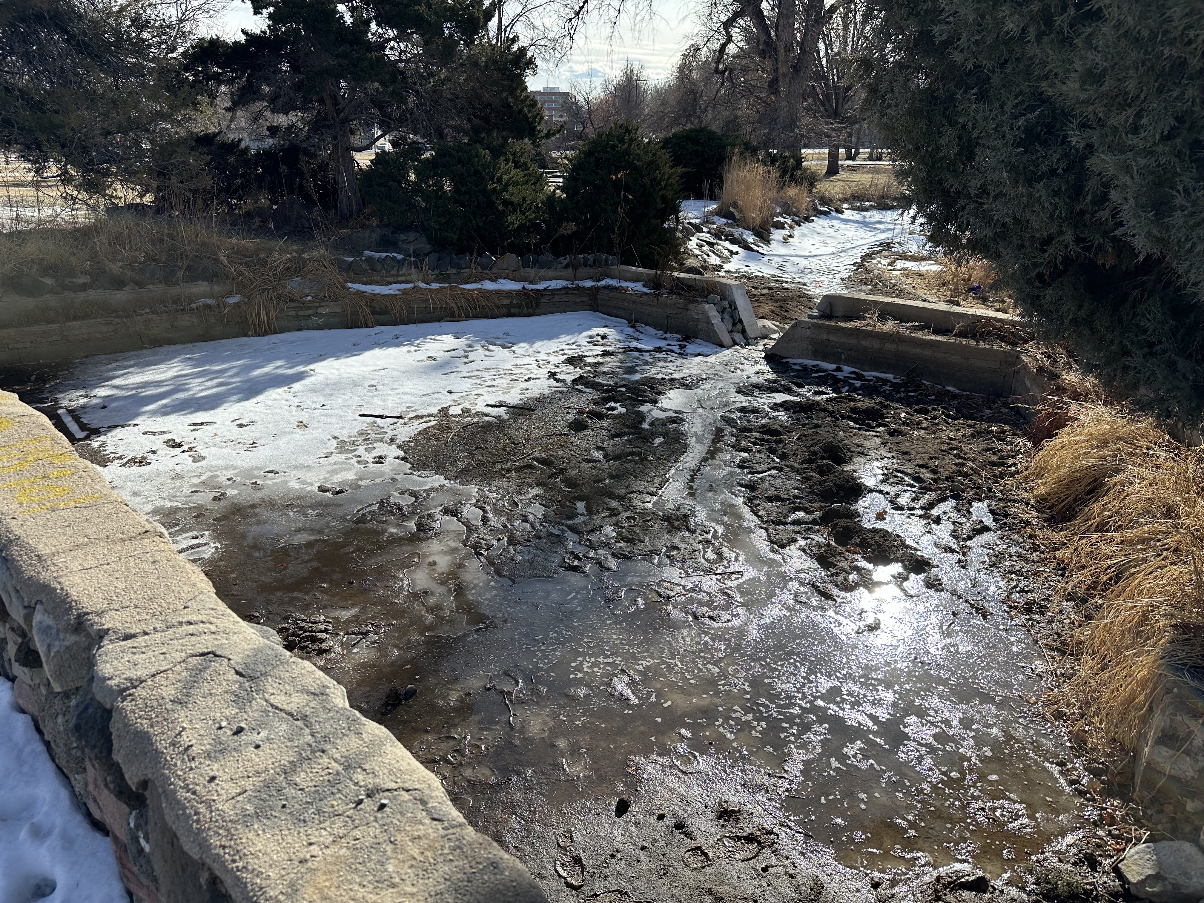 Volunteers needed to continue restoration of City Park Lily Ponds