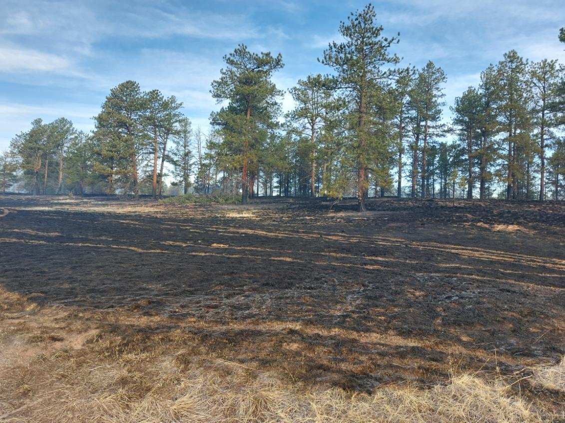 Douglas County Turkey Track fire 100% contained, stayed steady at 128 acres