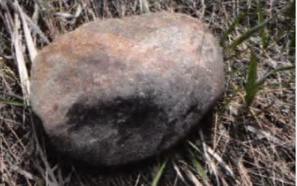 FILE PHOTO: The landscaping rock which hit Alexa Bartell's small windshield was thrown with such force, it exited the back window and landed