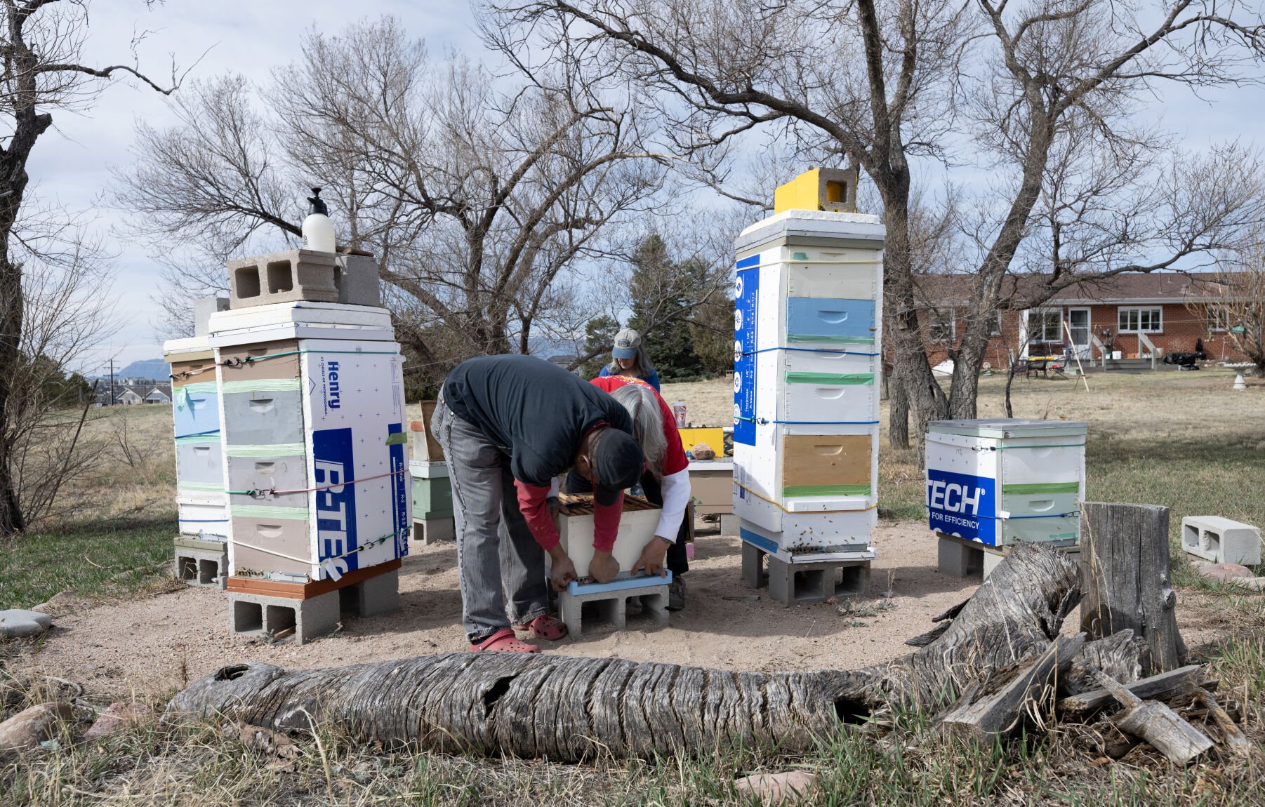 Lazarus Fields, left, and Frankie Bailey set up a new hive on Angela Kataza’s property east of Colorado Springs on Friday, March 28, 2025. Fields is the swarm coordinator for the Pikes Peak Beekeepers Association. (The Gazette, Christian Murdock) (Christian Murdock, The Gazette)