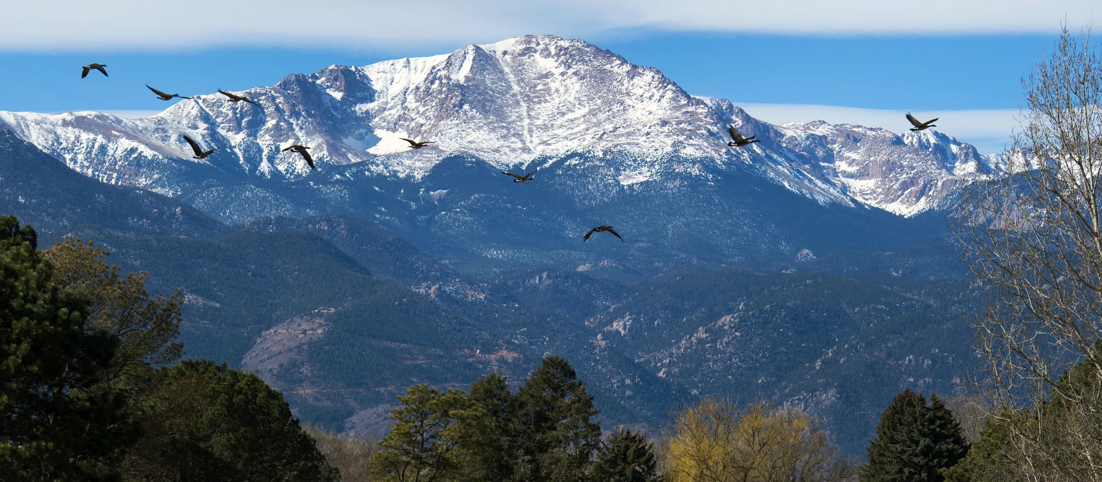 Canada Geese fly over Patty Jewett Golf Course with 14,115-foot Pikes Peak in the background in this Feb. 10, 2017, photo. (Christian Murdock, the gazette file)