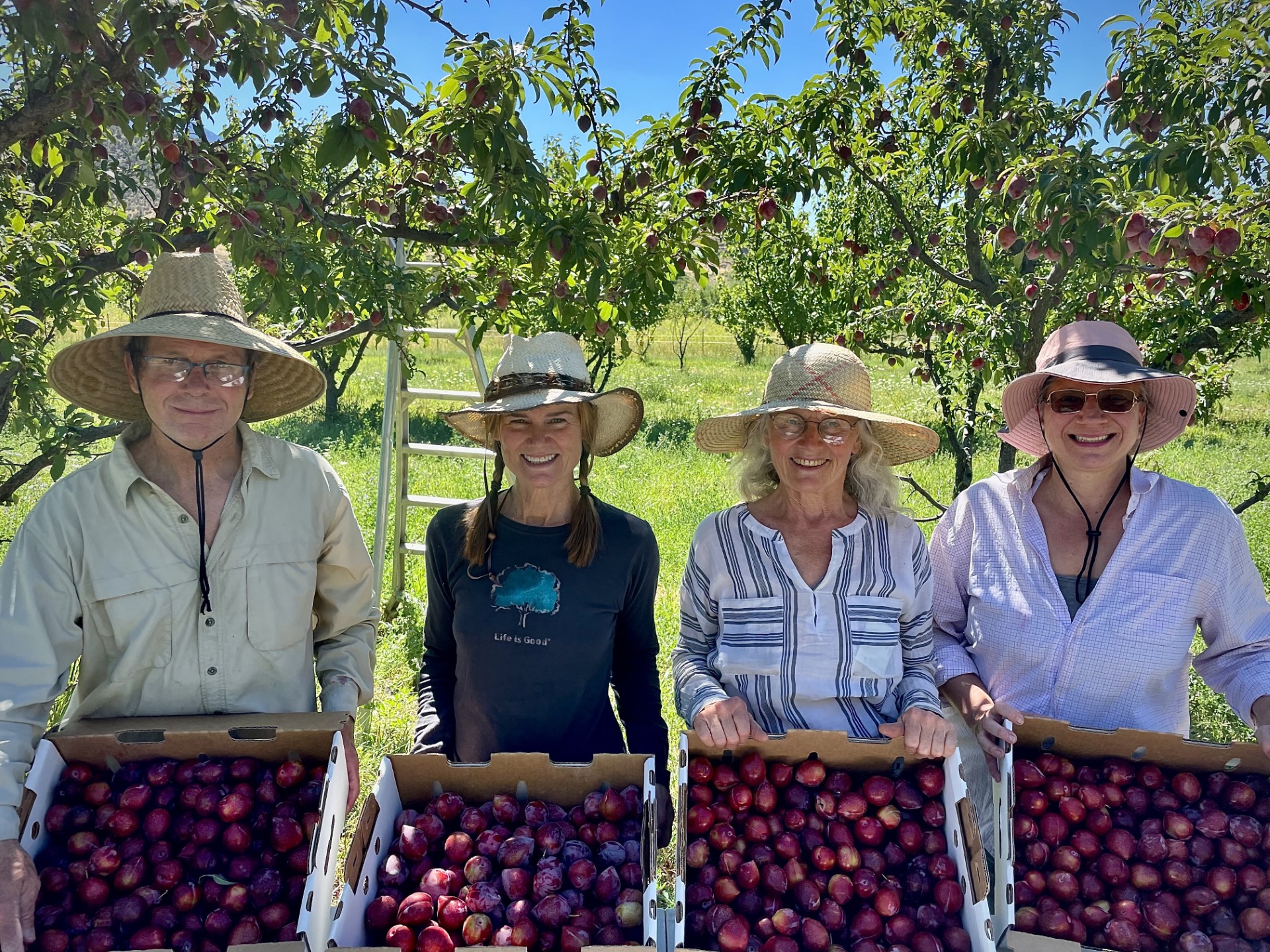 Colorado Gives Foundation awards over $3 million to Jeffco nonprofits fighting food insecurity
