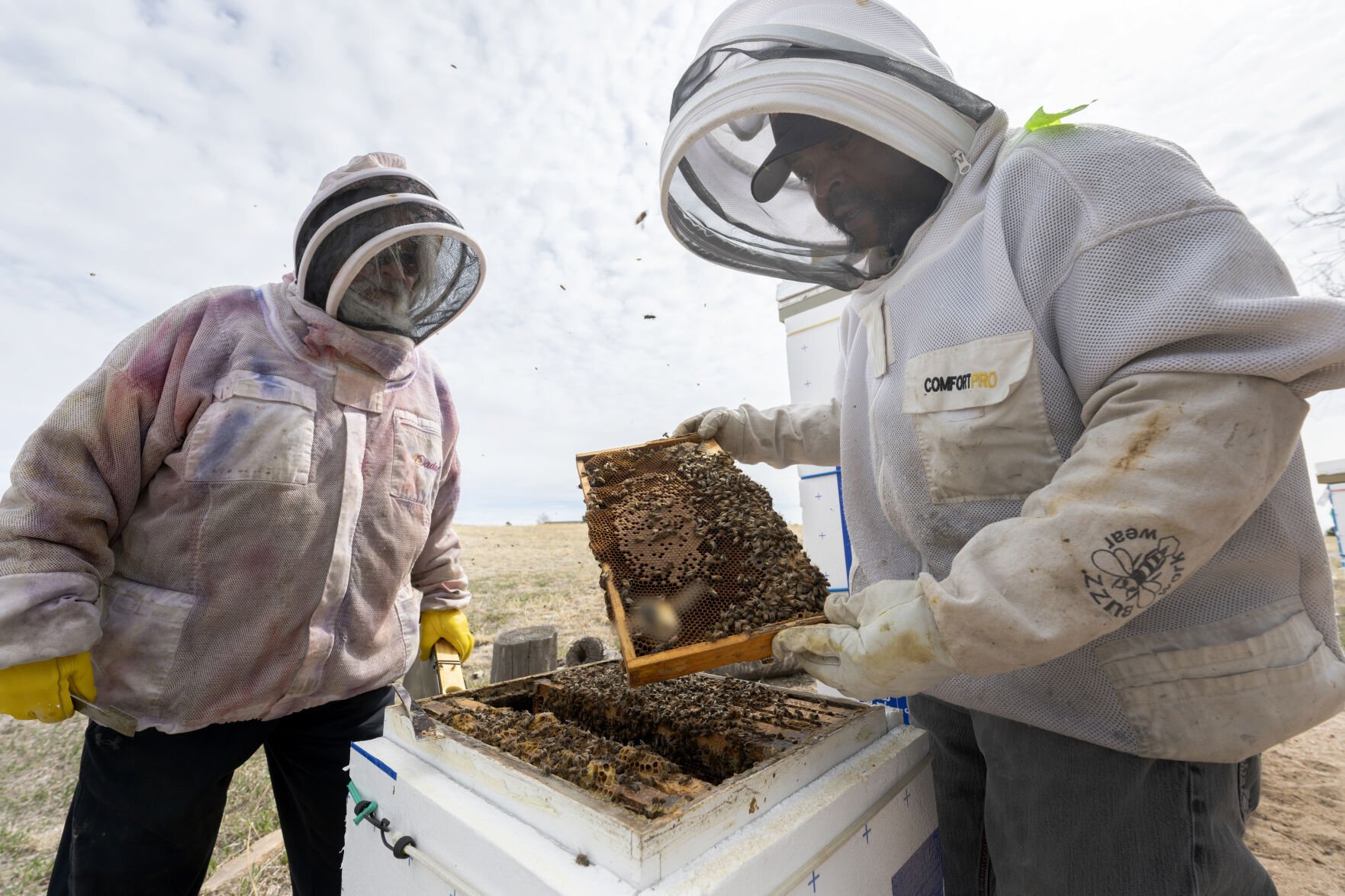 After a tough winter, Colorado beekeepers are busy keeping hives alive