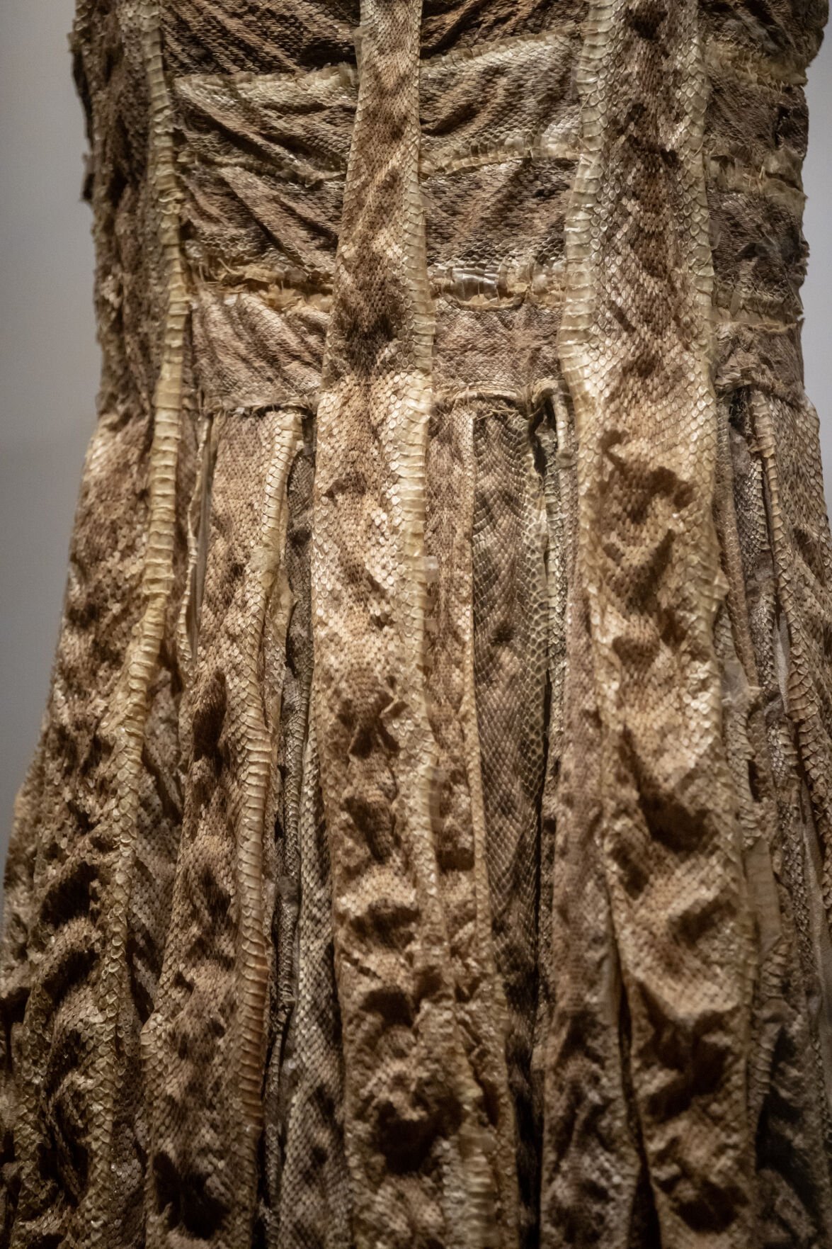 Rattlesnake Kate’s dress on display at the Greeley History Museum on Tuesday, Feb. 25, 2025, in Greeley, Colo. (Parker Seibold, The Gazette) (Parker Seibold)