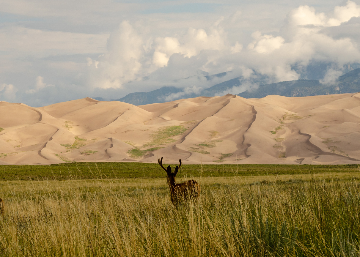 Photo: Karen Timmons (iStock). (Karen Timmons)