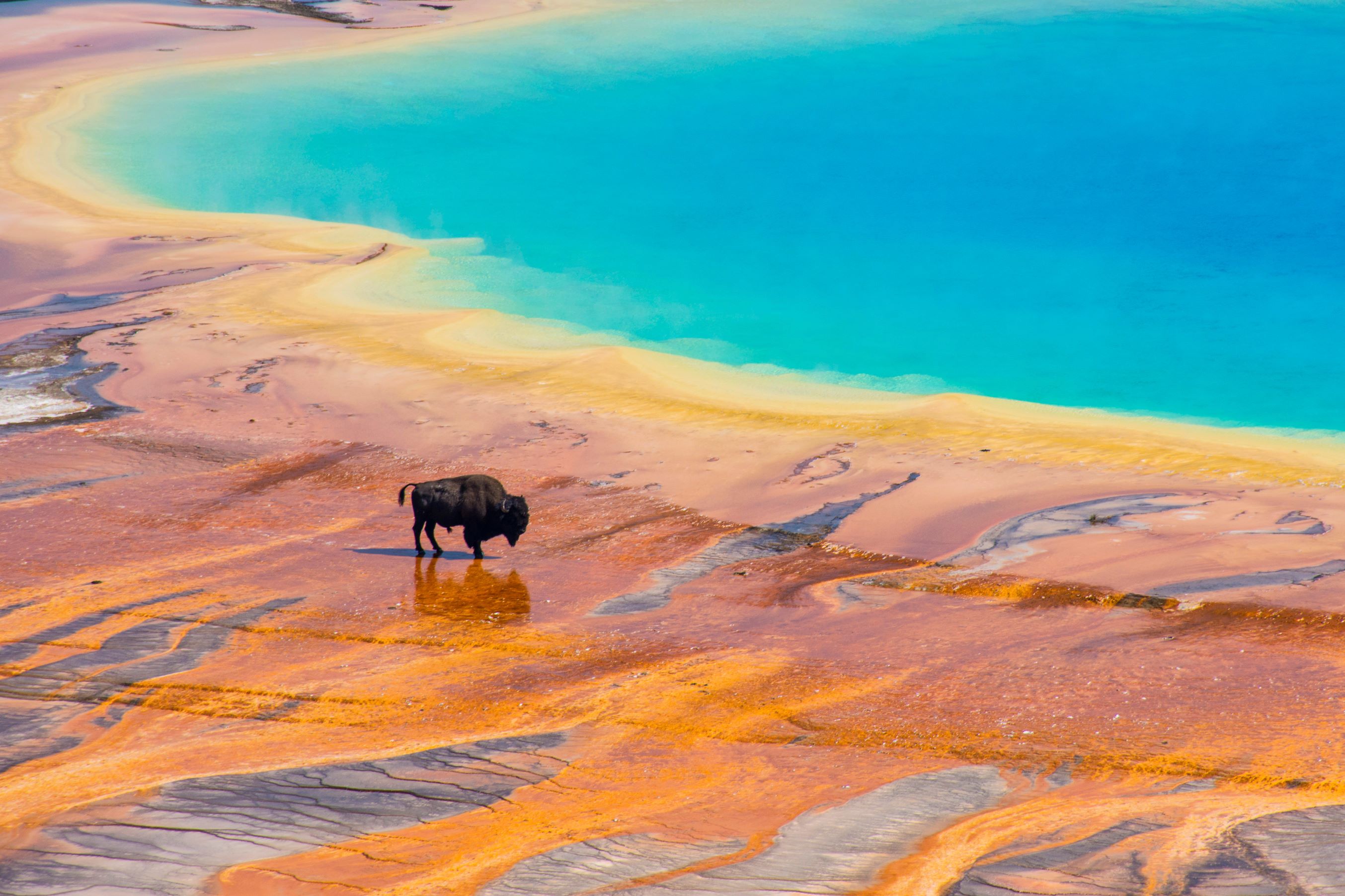 YELLOWSTONE NATIONAL PARK