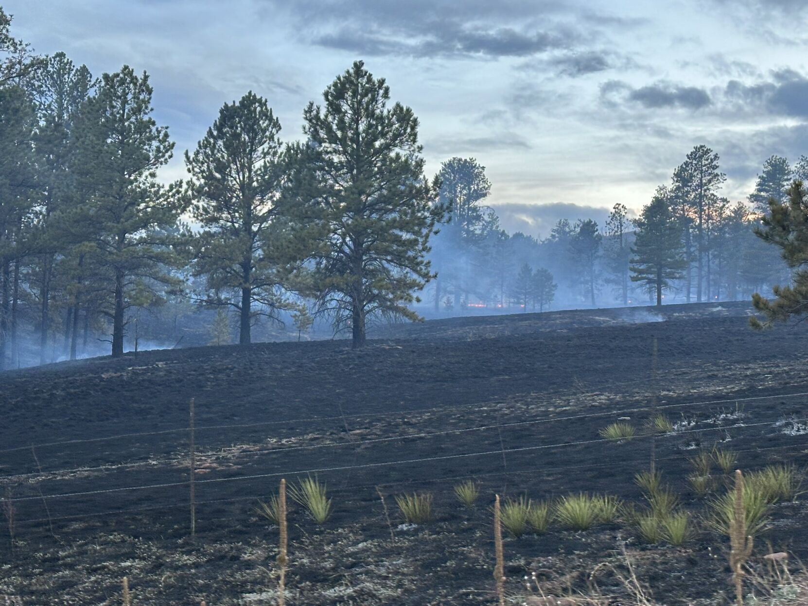 The Turkey Tracks fire ignited Saturday in Douglas County. (Douglas County Sheriff's Office via X)