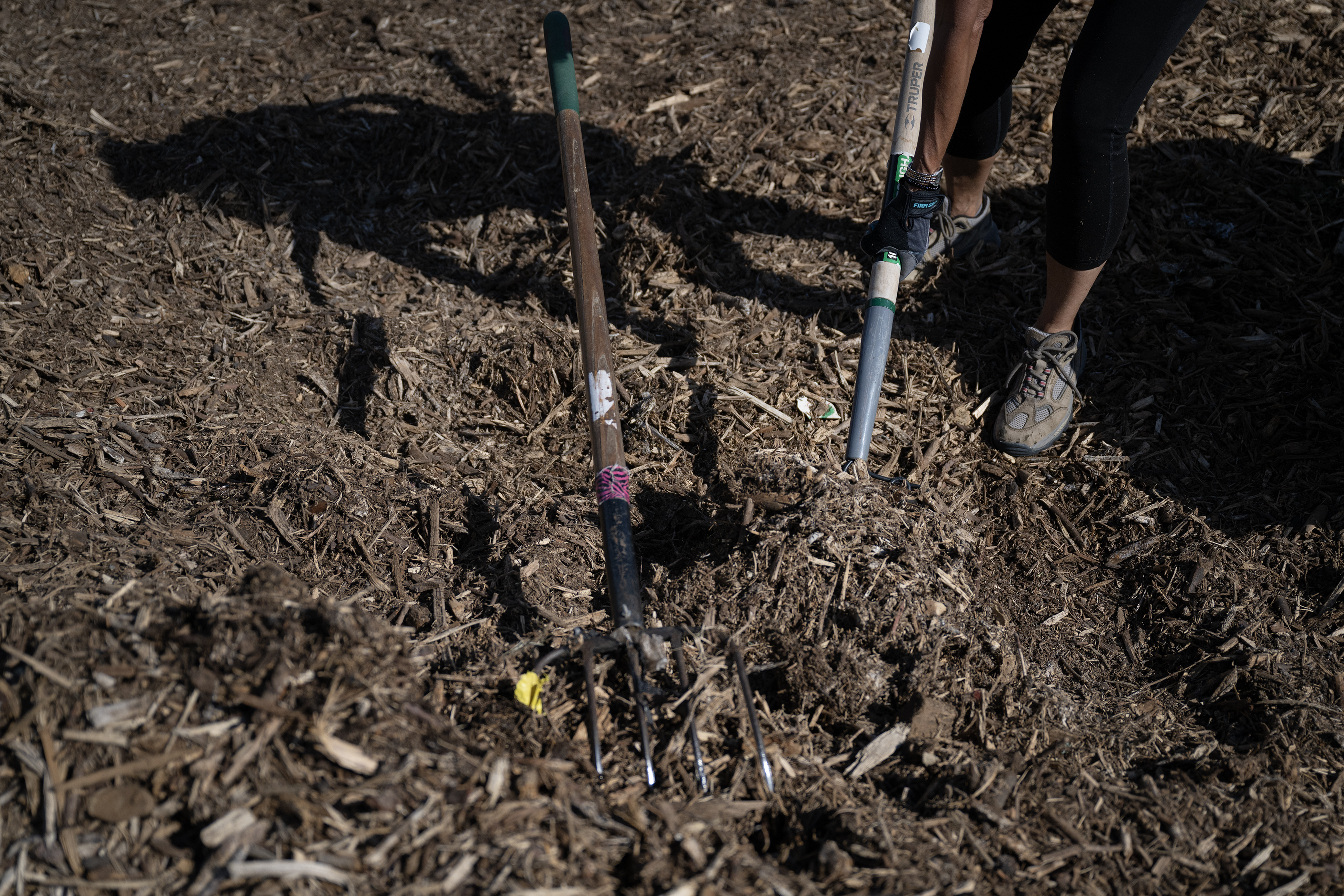 Lakewood offering free mulch to residents in May