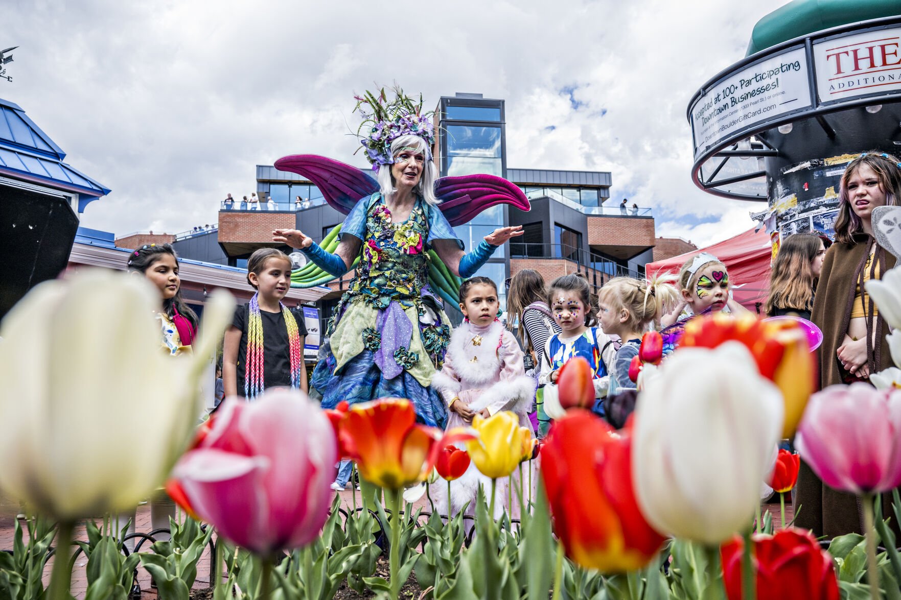 1000s of tulips highlight this free Boulder festival