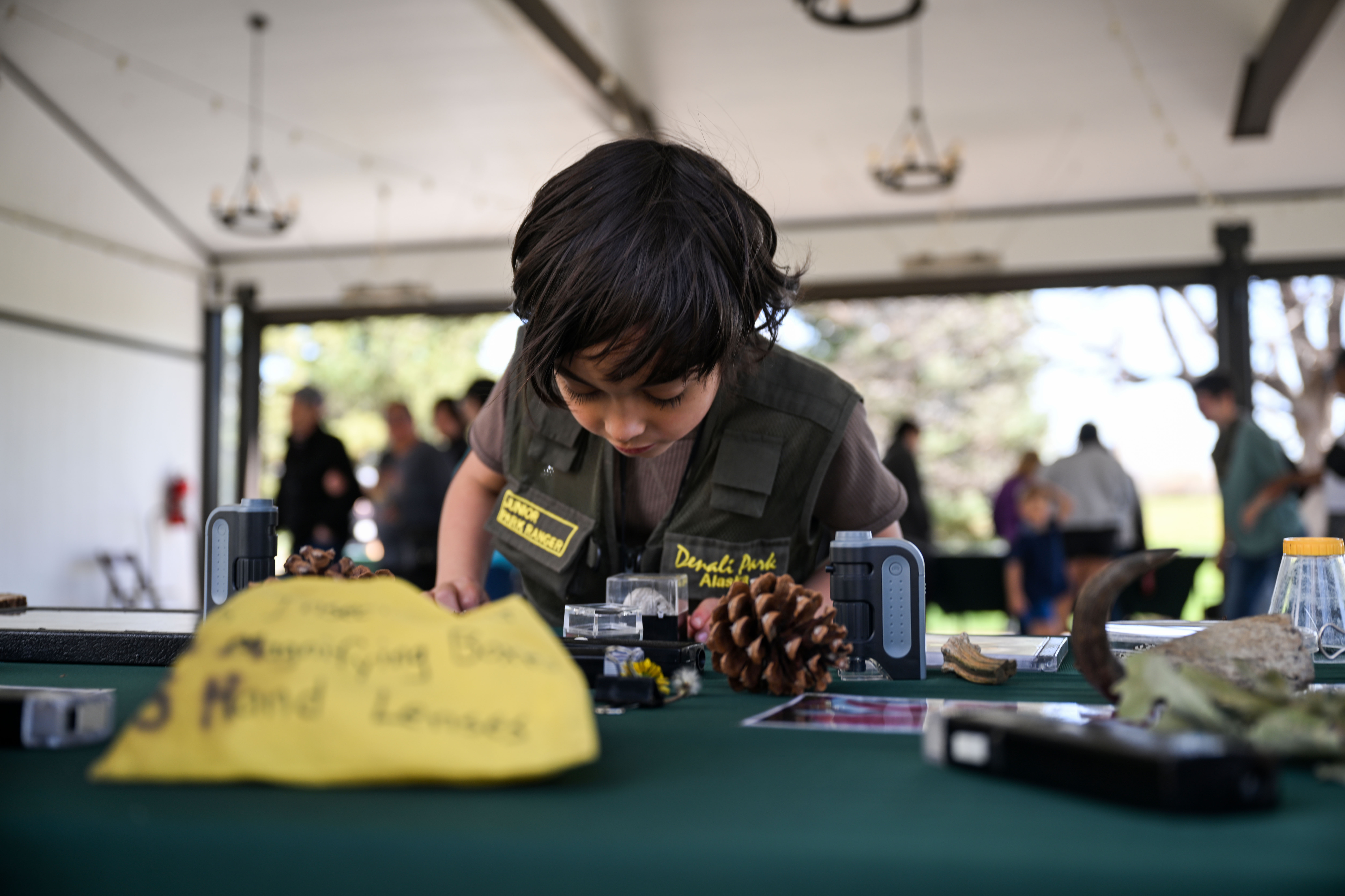 Lucian Selway, 7, looks at a hornet and a bee under a magnifying glass during a free Earth Day event at Chatfield Farms in Littleton on Tuesday, April 22, 2025 (Stephen Swofford, Denver Gazette) (StephenSwoffordPhotographerstephen.swofford@gazette.comhttps://secure.gravatar.com/avatar/1ddcaf11c5d70eaa58546ddc4e038687?d=mm&r=g)