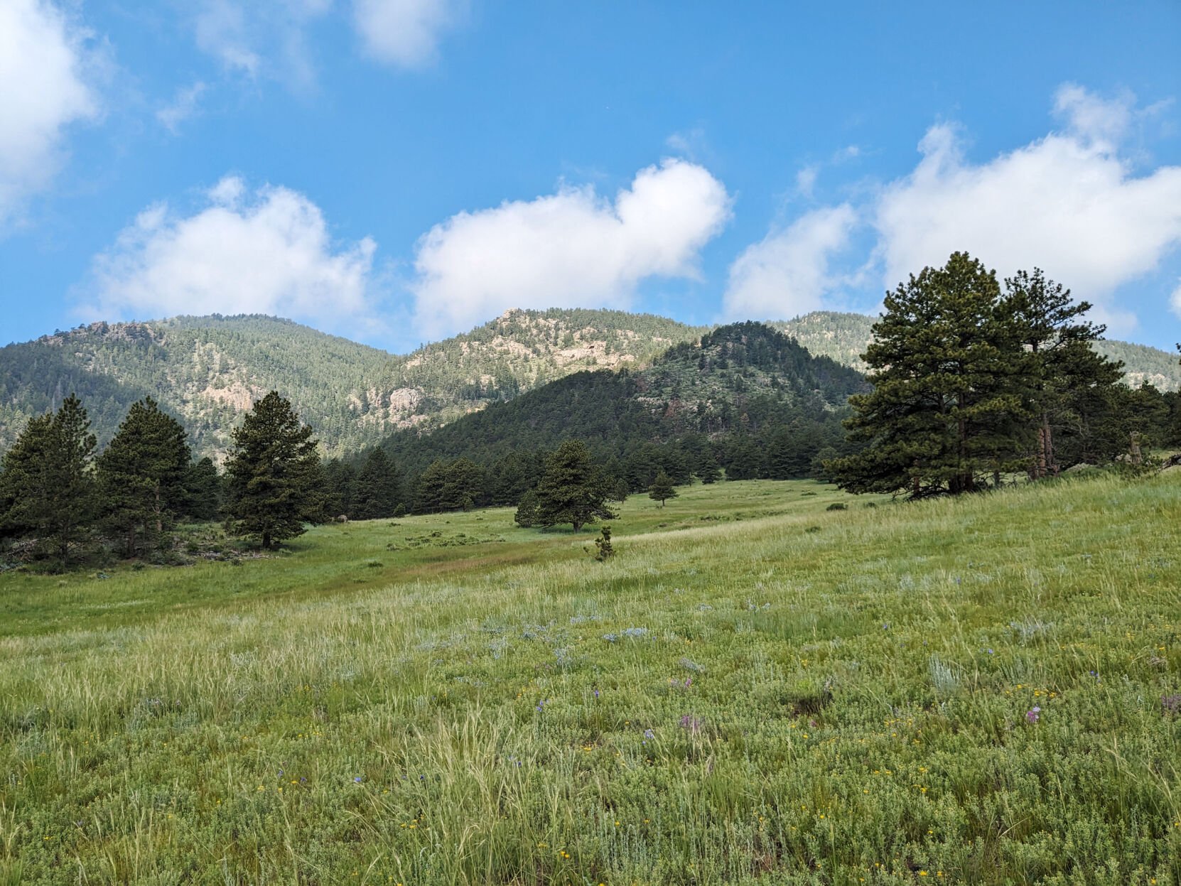 A new plan for Chimney Hollow Open Space envisions 10-12 miles of trail around the land surrounding Chimney Hollow Reservoir. (Photo courtesy of Larimer County)