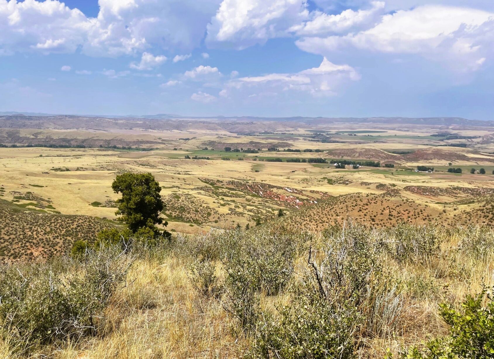 Larimer County's Natural Resources Department recently announced it had finalized conservation easements across three ranches totaling 4,800-plus acres in the Livermore Valley. (Courtesy of Larimer County Department of Natural Resources)