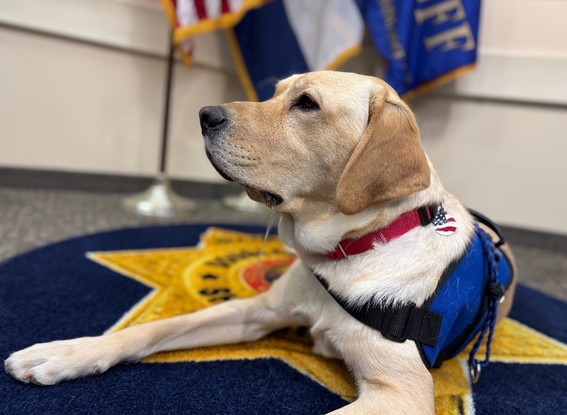 Meet Guster; Douglas County’s first canine school resource officer