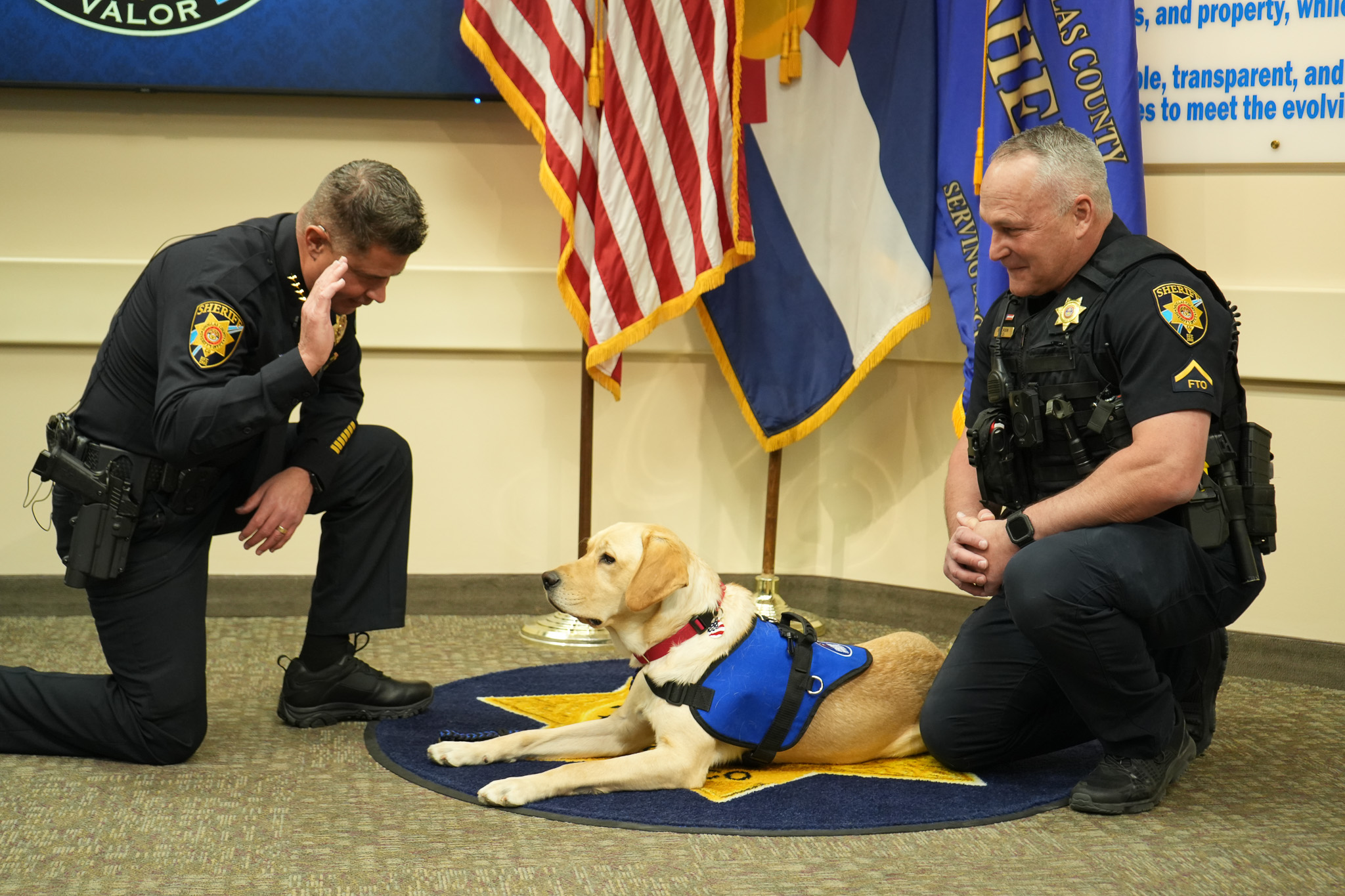Douglas County Sheriff Darren Weekly (left) swears in Guster, the 1-year-old labrador retriever, as the county's first canine school resource officer with his handler Deputy Brian Corbin at the Douglas County Justice Center on Wednesday, May 14 in Castle Rock, Colorado. (Courtesy photo, Douglas County Sheriff's Office)
