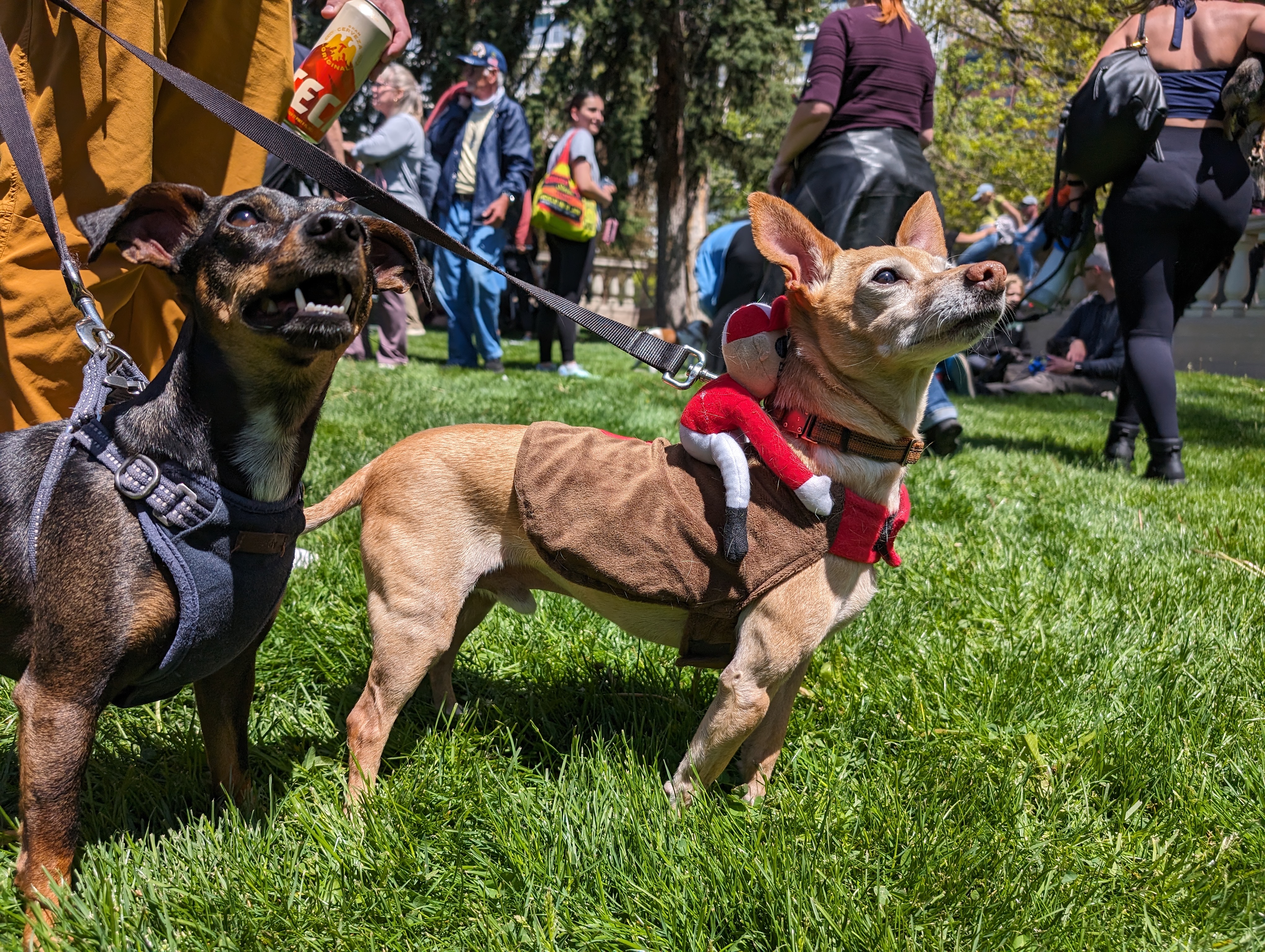 36th annual Cinco de Mayo Festival to take over Civic Center Park this weekend