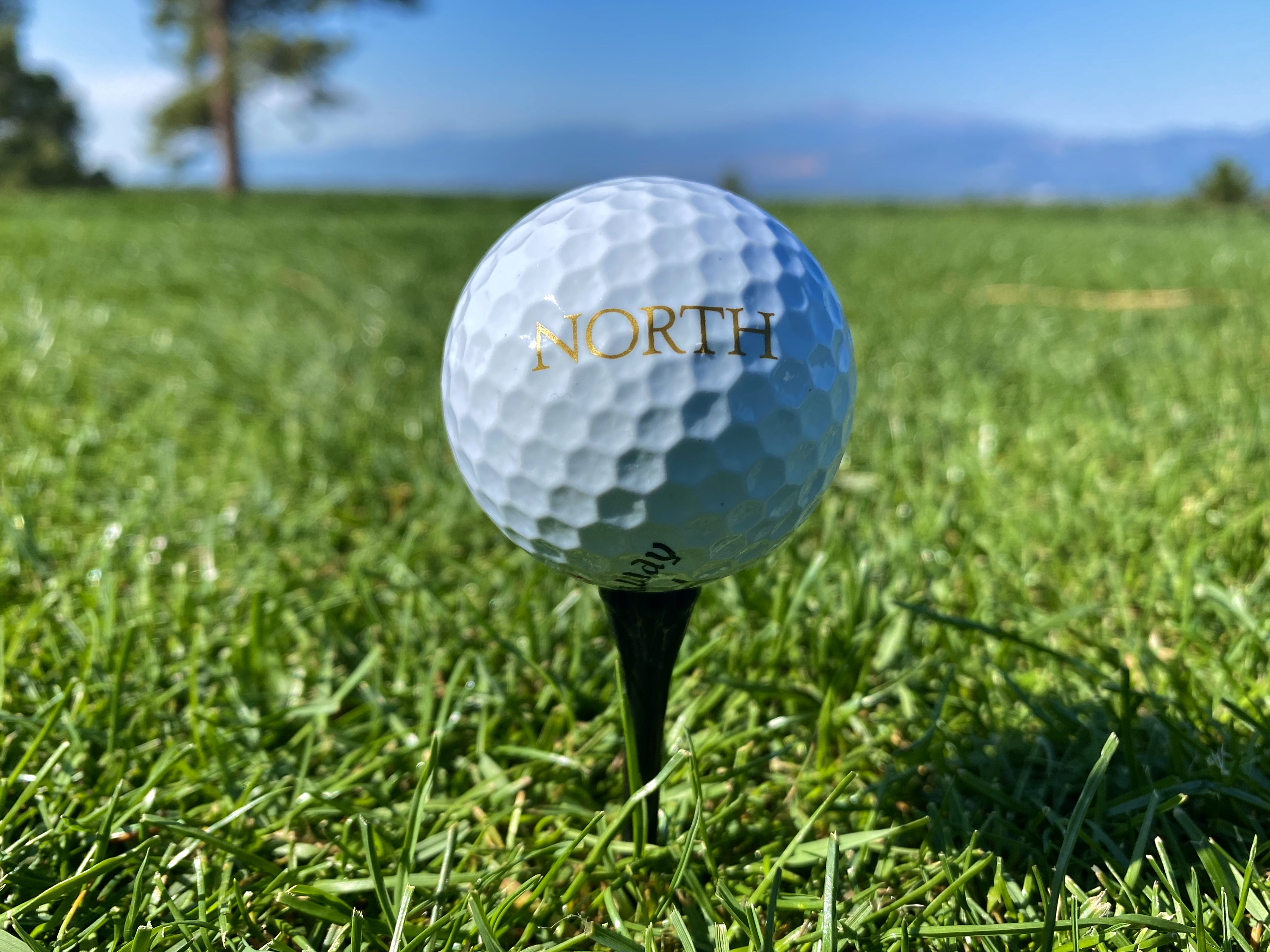 Photo courtesy of Flying Horse Resort & Club