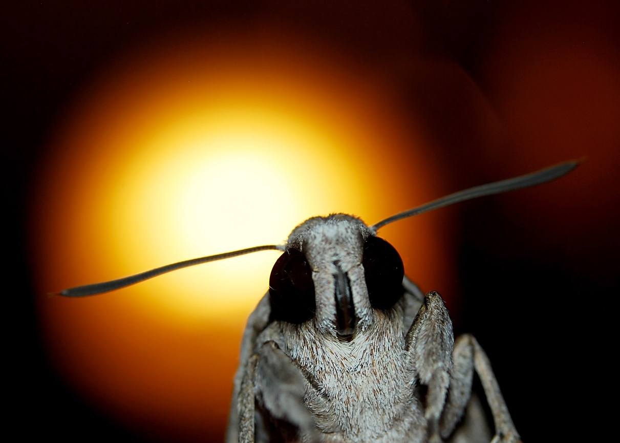 Photo Credit: 1255k (iStock). (1255k)