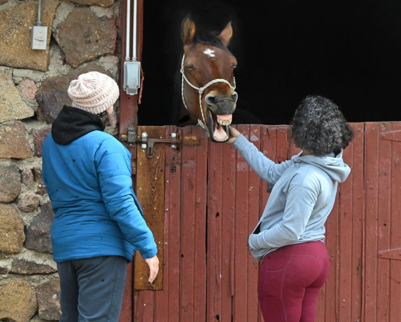 051825-life-remount 04.JPG