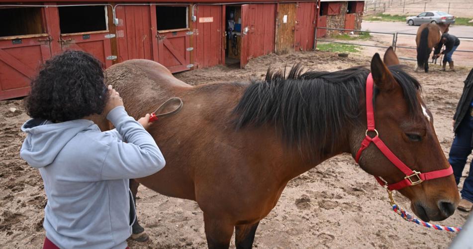 051825-life-remount 06.JPG